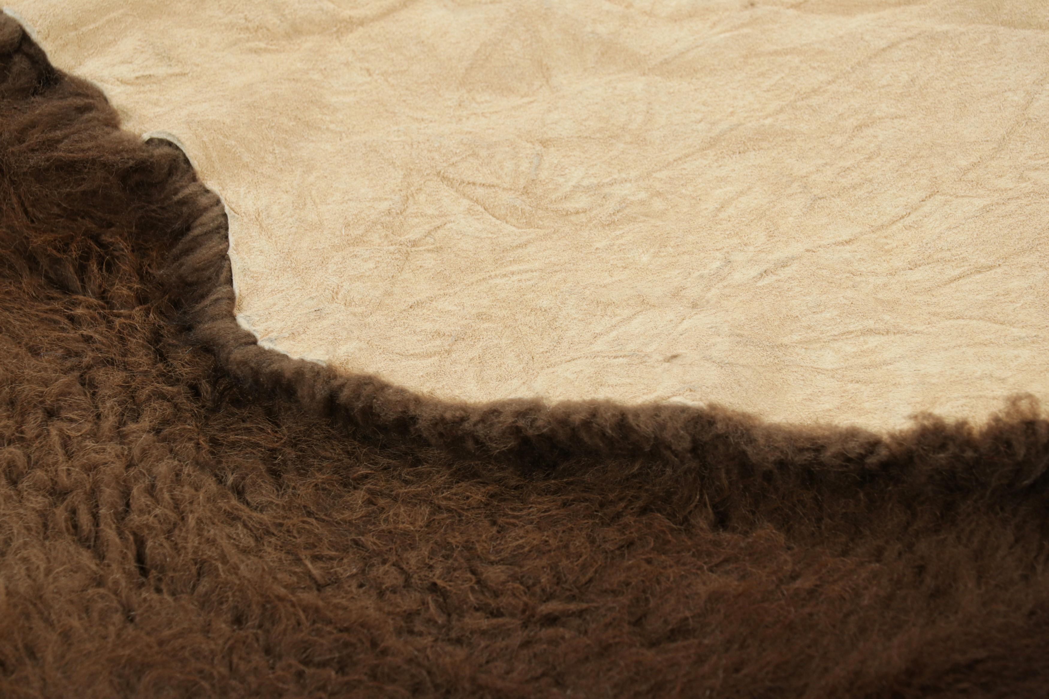 Rug & Kilim’s American Bison Hide Fur Rug in Chocolate Brown Tones For Sale 2