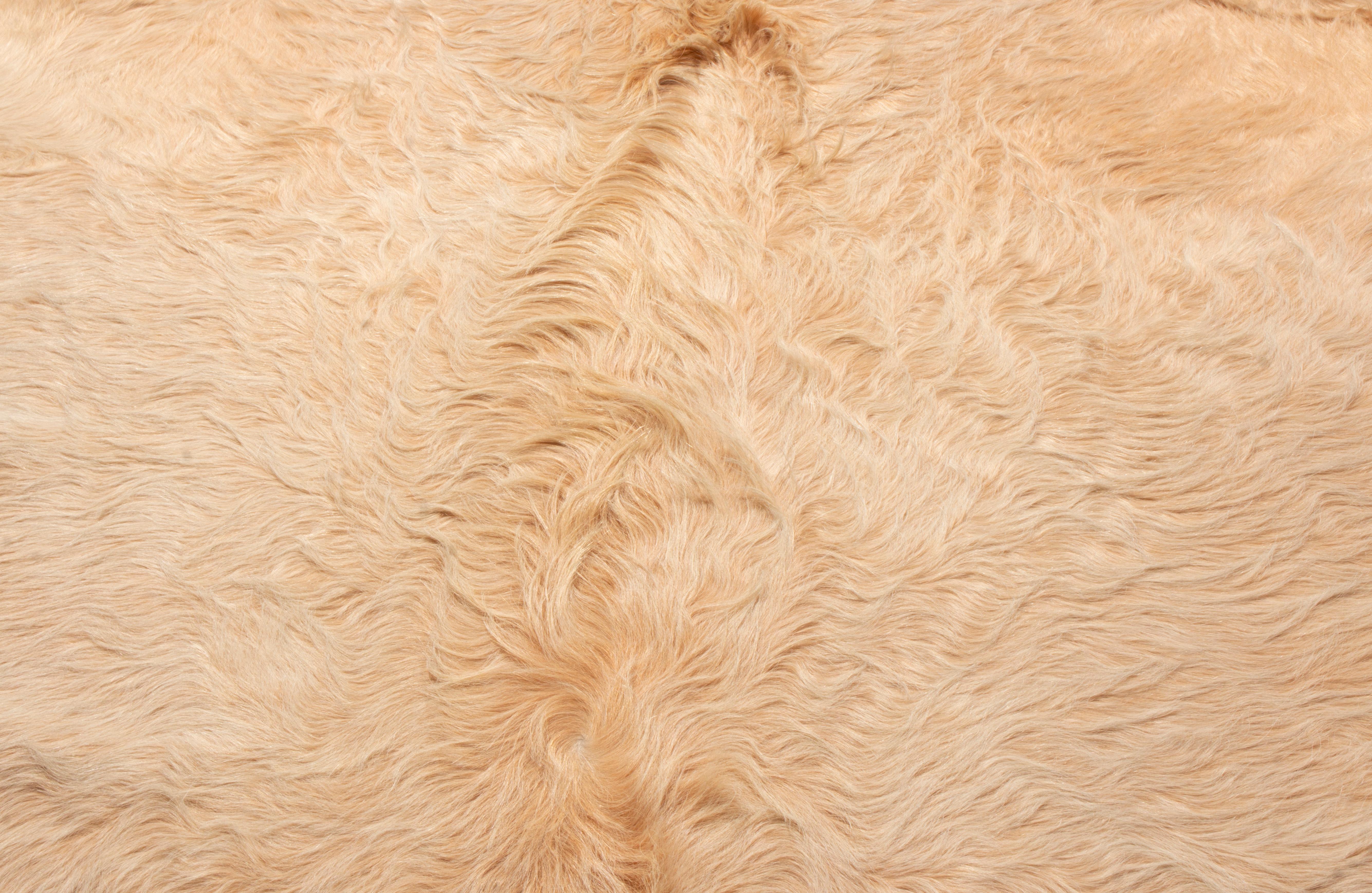 Brazilian Rug & Kilim’s Contemporary Cowhide Rug in Cream For Sale