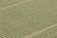 Rug & Kilim’s Contemporary Kilim with Stripes in Green and Brown