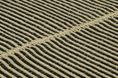 Rug & Kilim’s Contemporary Kilim with Textural Cream White and Black Stripes