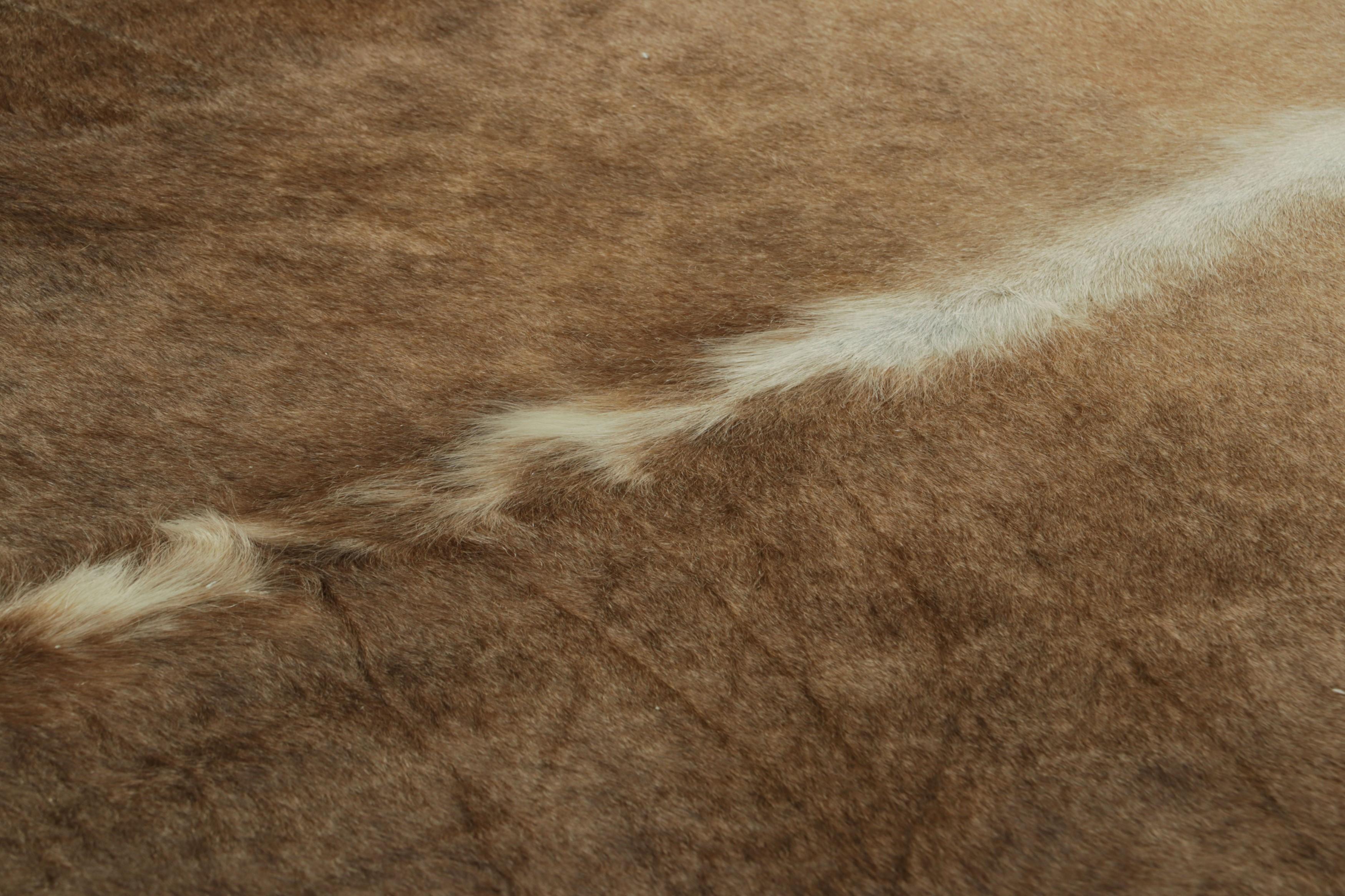 This handmade 7x8 contemporary cowhide rug from Rug & Kilim represents an exciting new collection of rare pieces in the style—each a comfortable and stylish addition to a wide range of spaces for their unique shape inherent to the craft.

On the