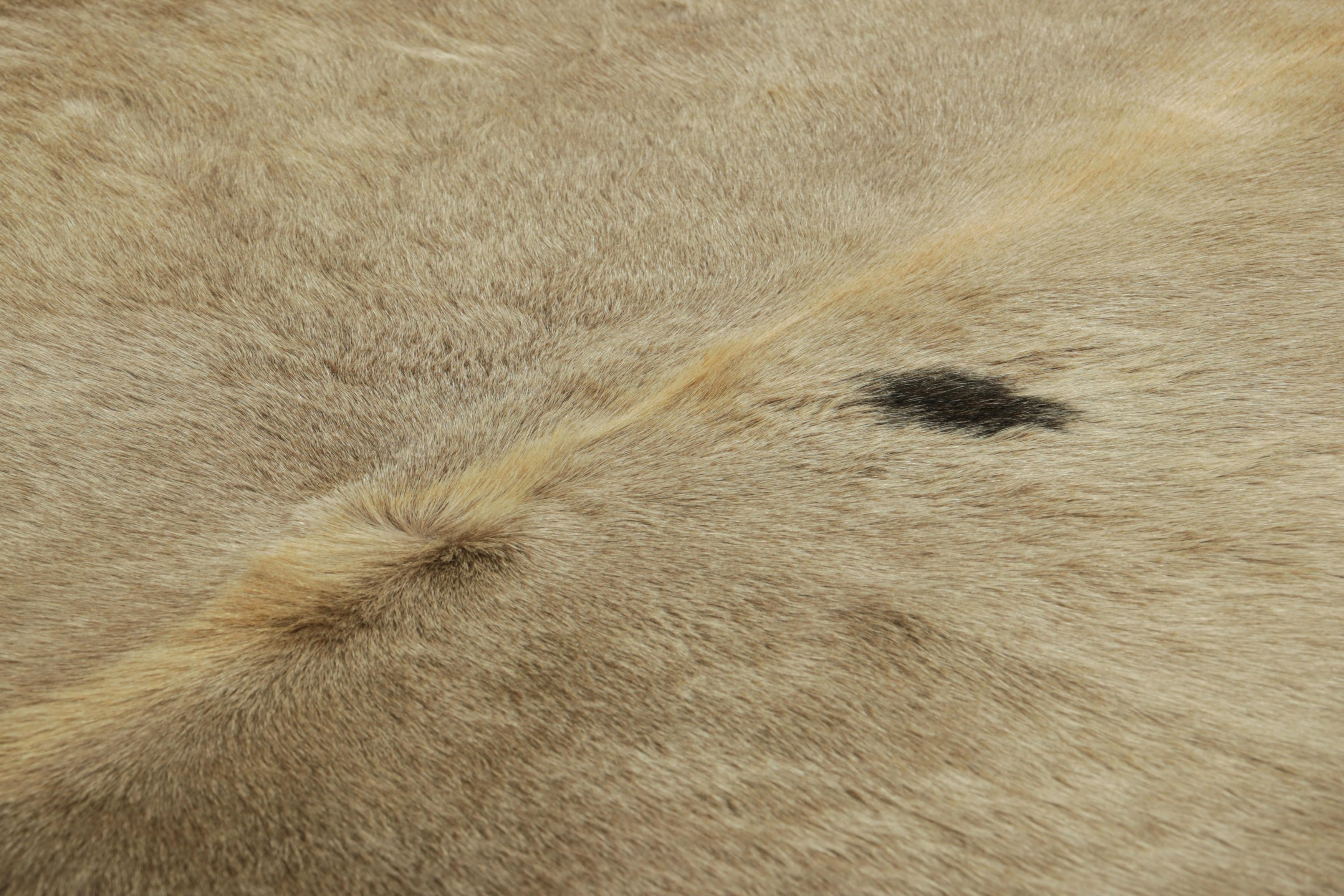 This handmade 7x8 contemporary cowhide rug from Rug & Kilim represents an exciting new collection of rare pieces in the style—each a comfortable and stylish addition to a wide range of spaces for their unique shape inherent to the craft.

On the