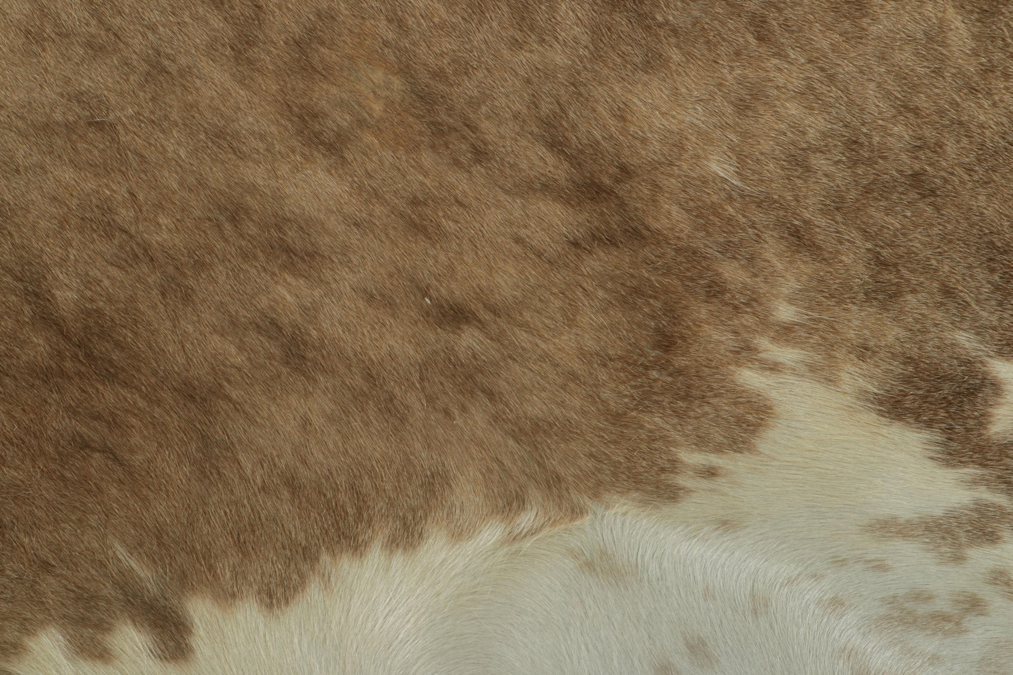 Modern Rug & Kilim’s Extra Large Cowhide Rug in Beige-Brown and Cream Tones
