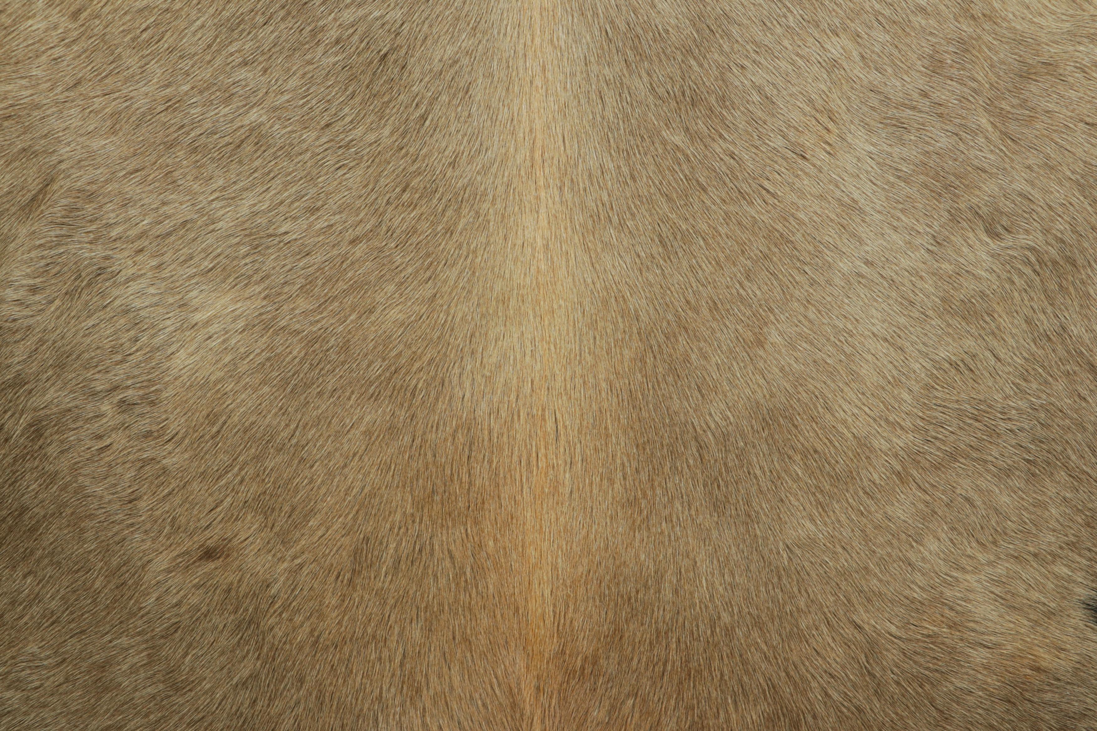 Modern Rug & Kilim’s Extra Large Cowhide Rug in Beige-Brown and Cream Tones For Sale