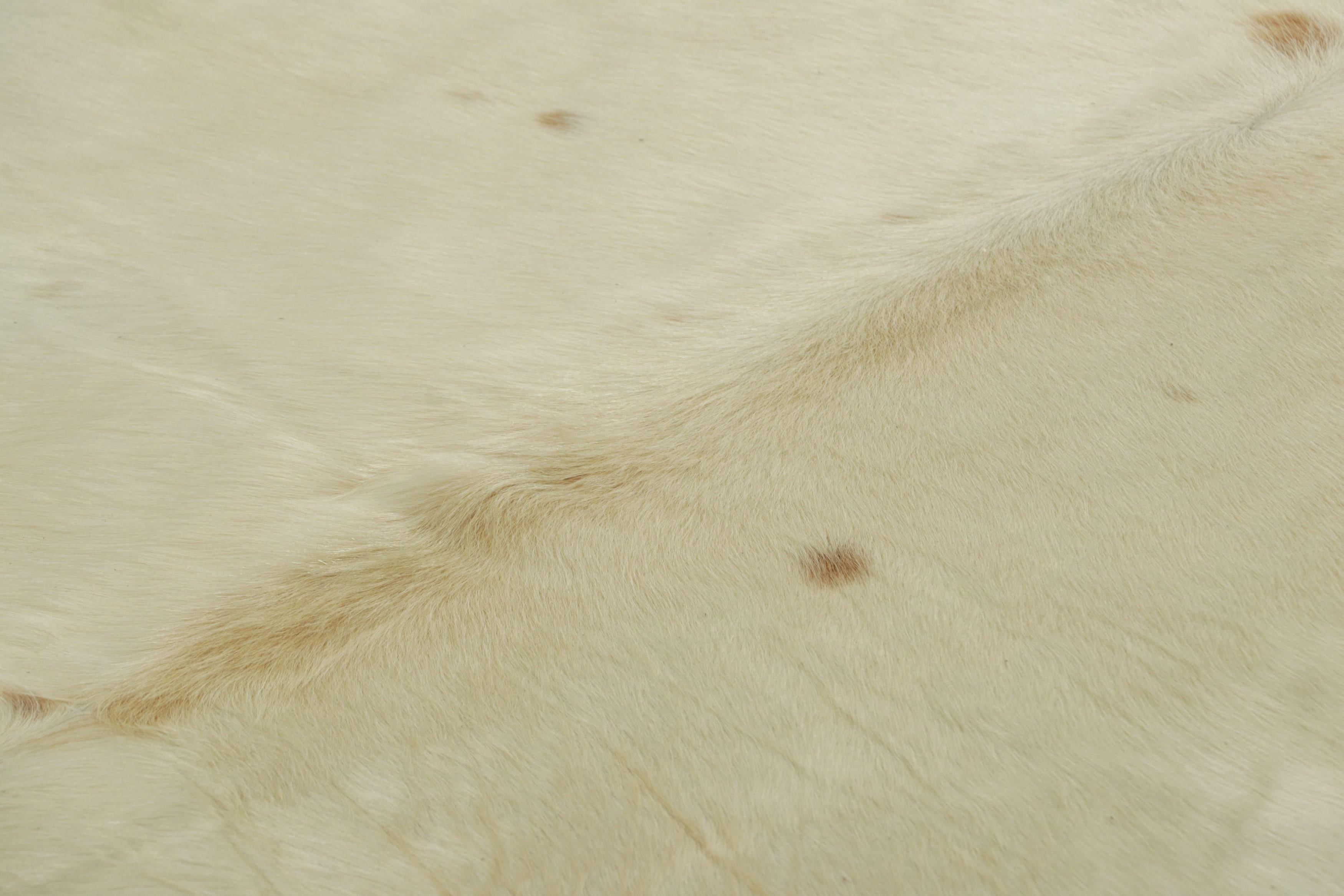 This handmade 7x8 contemporary cowhide rug from Rug & Kilim represents an exciting new collection of rare pieces in the style—each a comfortable and stylish addition to a wide range of spaces for their unique shape inherent to the craft.

On the