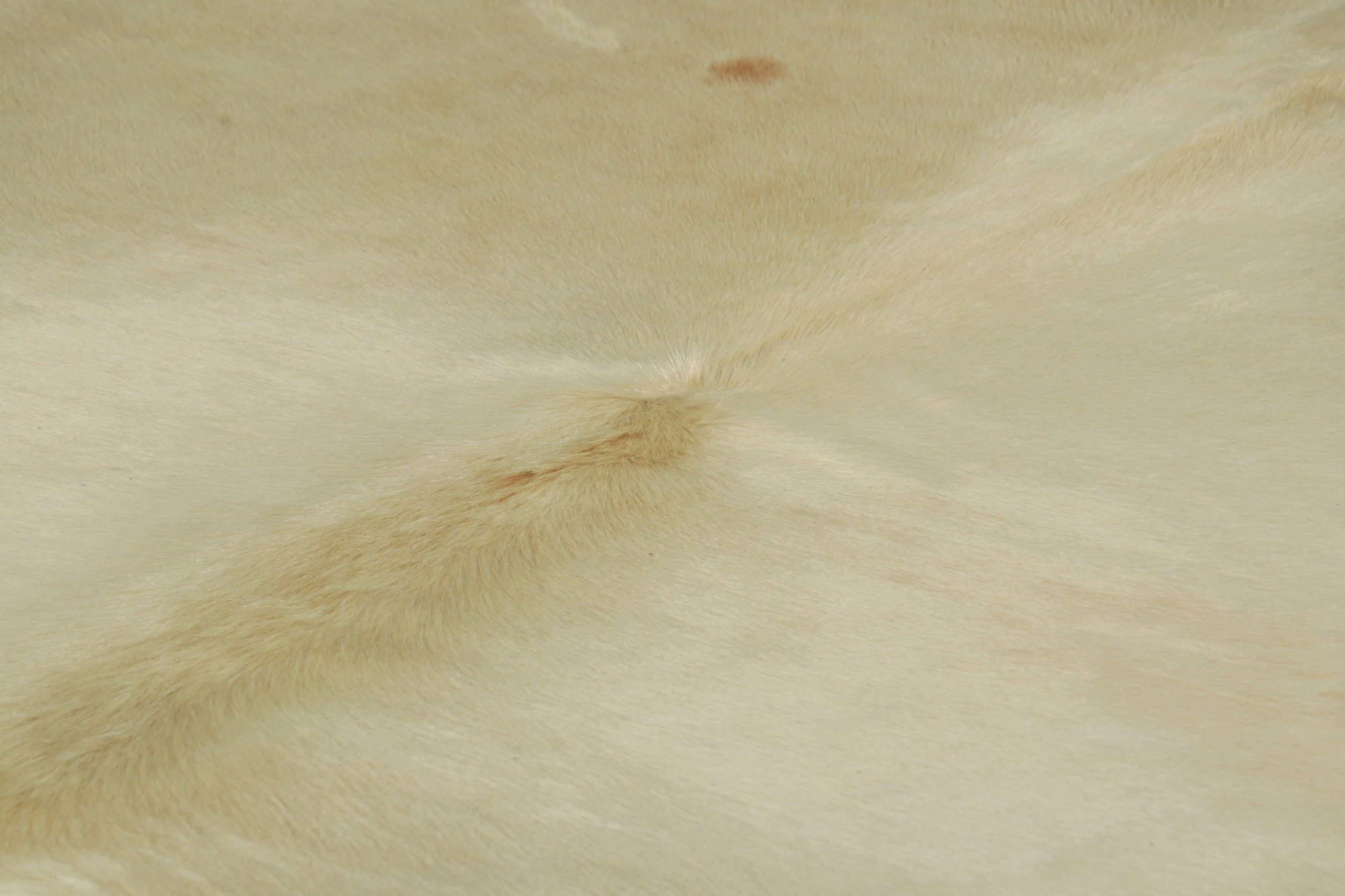This handmade 7x8 contemporary cowhide rug from Rug & Kilim represents an exciting new collection of rare pieces in the style—each a comfortable and stylish addition to a wide range of spaces for their unique shape inherent to the craft.

On the