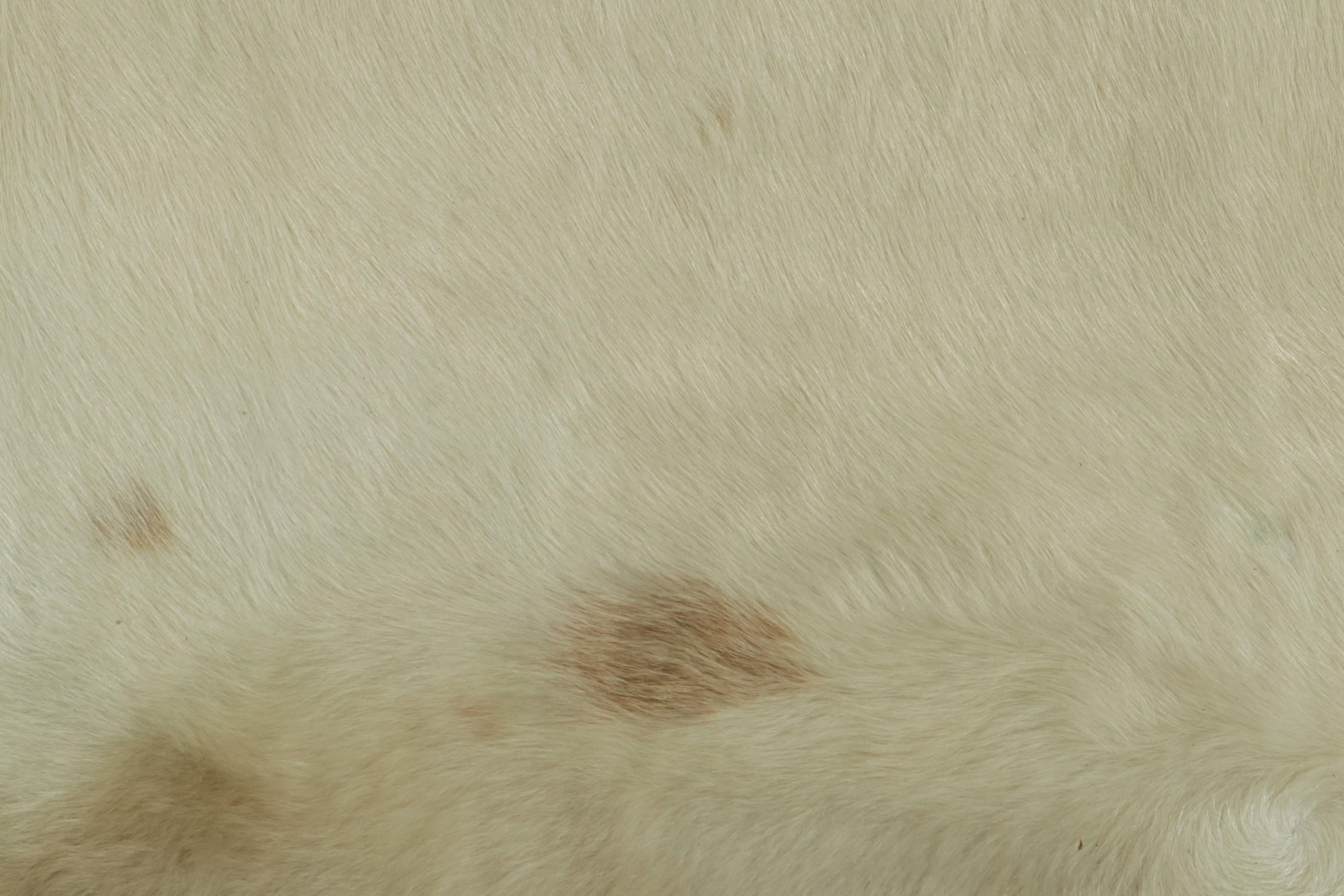 Modern Rug & Kilim’s Extra Large Cowhide Rug in Beige, White and Cream Tones For Sale