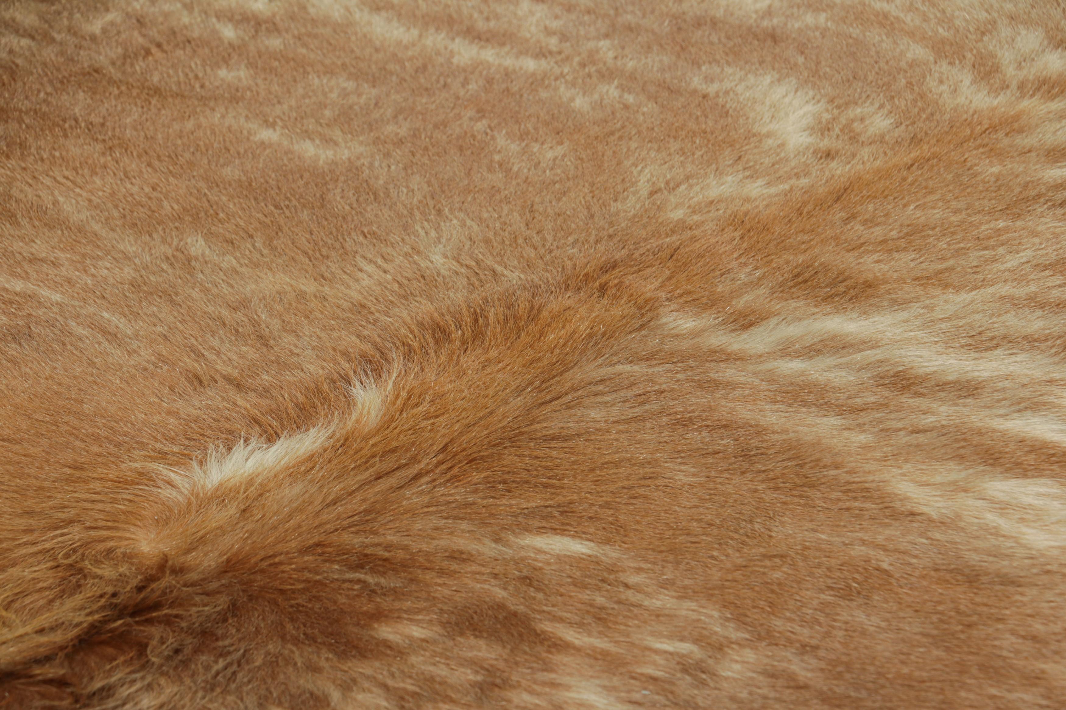 This handmade 7x8 contemporary cowhide rug from Rug & Kilim represents an exciting new collection of rare pieces in the style—each a comfortable and stylish addition to a wide range of spaces for their unique shape inherent to the craft.

On the