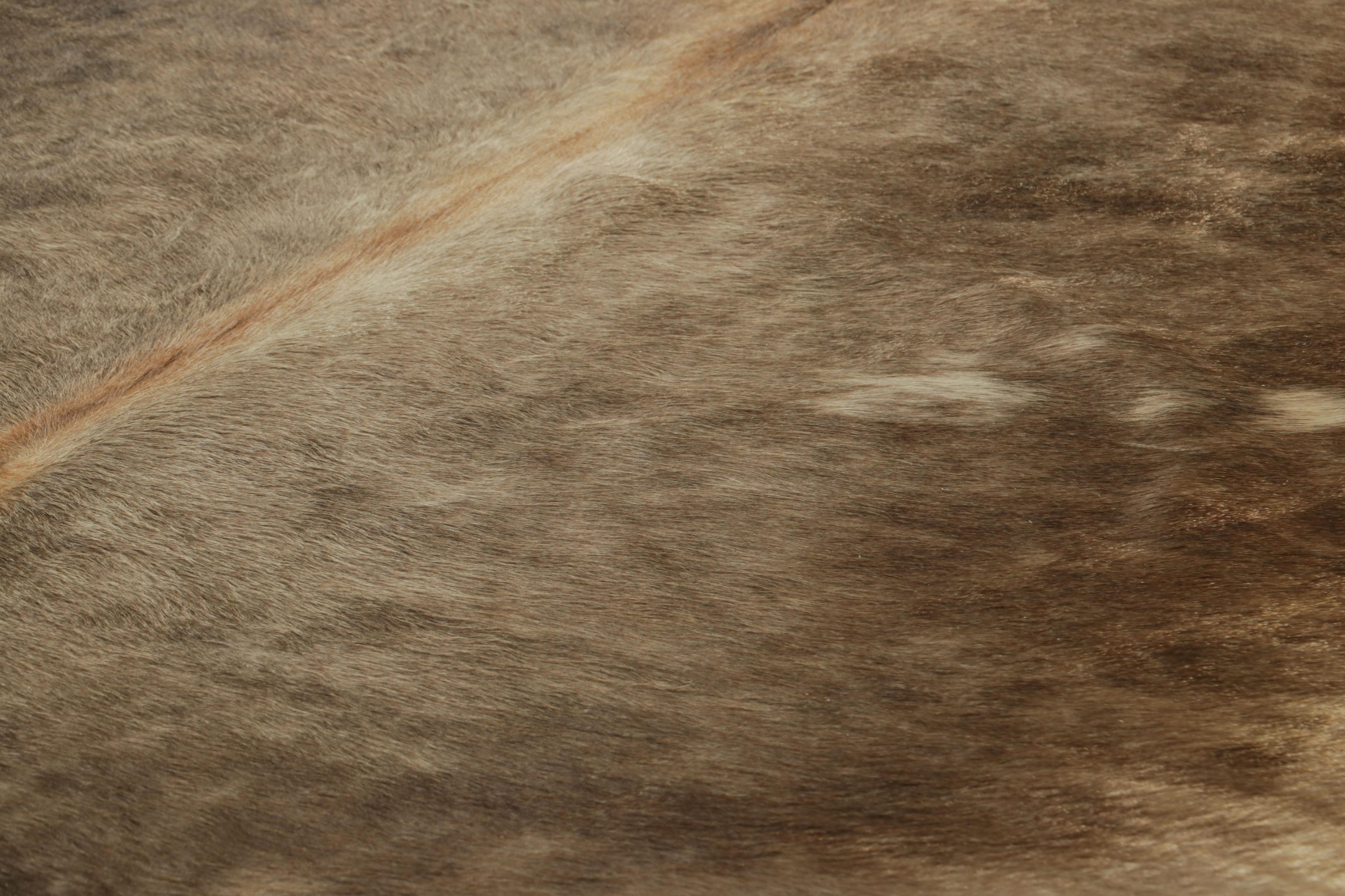 This handmade 7x8 contemporary cowhide rug from Rug & Kilim represents an exciting new collection of rare pieces in the style—each a comfortable and stylish addition to a wide range of spaces for their unique shape inherent to the craft.

On the