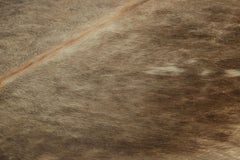 Rug & Kilim’s Extra Large Cowhide Rug in Brown and White Tones