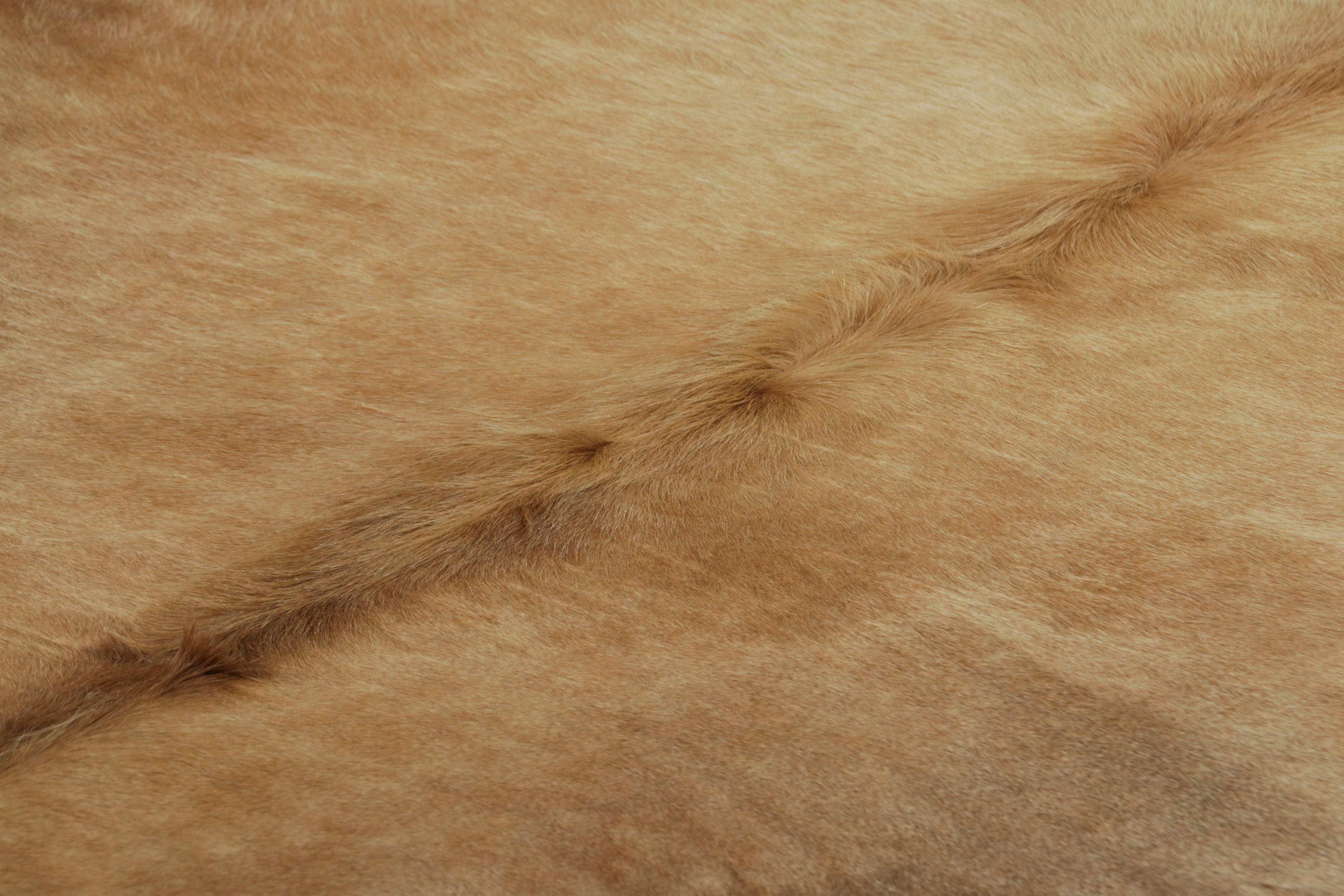 This handmade 7x8 contemporary cowhide rug from Rug & Kilim represents an exciting new collection of rare pieces in the style—each a comfortable and stylish addition to a wide range of spaces for their unique shape inherent to the craft.

On the