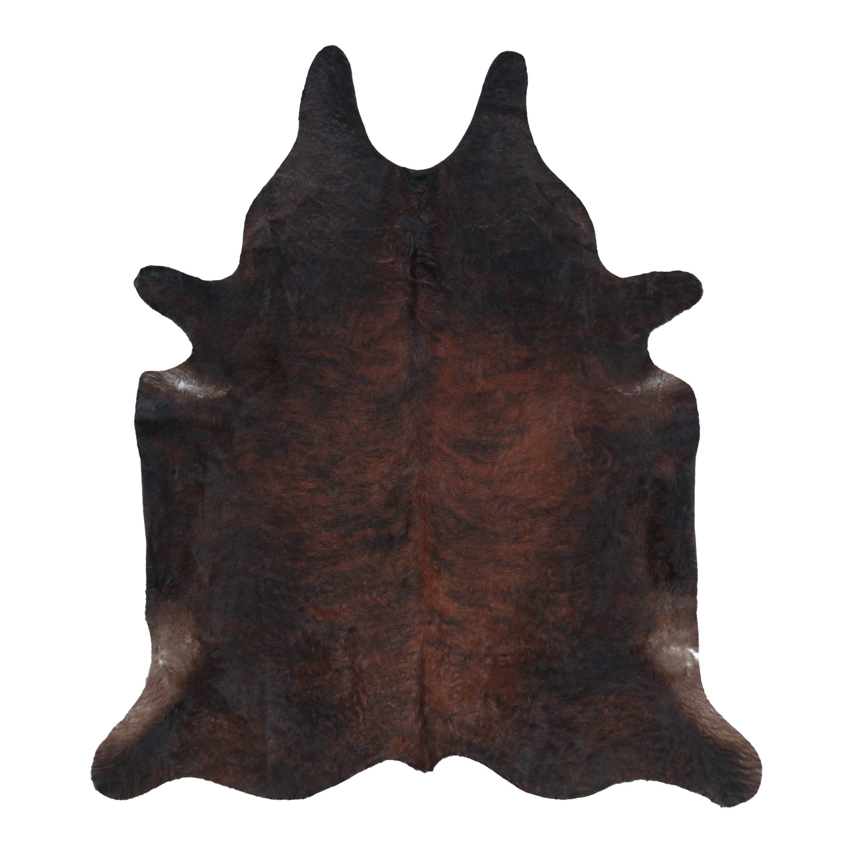 Rug & Kilim's Extra Large Cowhide Rug in Deep Brown Tones (Très grand tapis en peau de vache dans des tons bruns profonds)