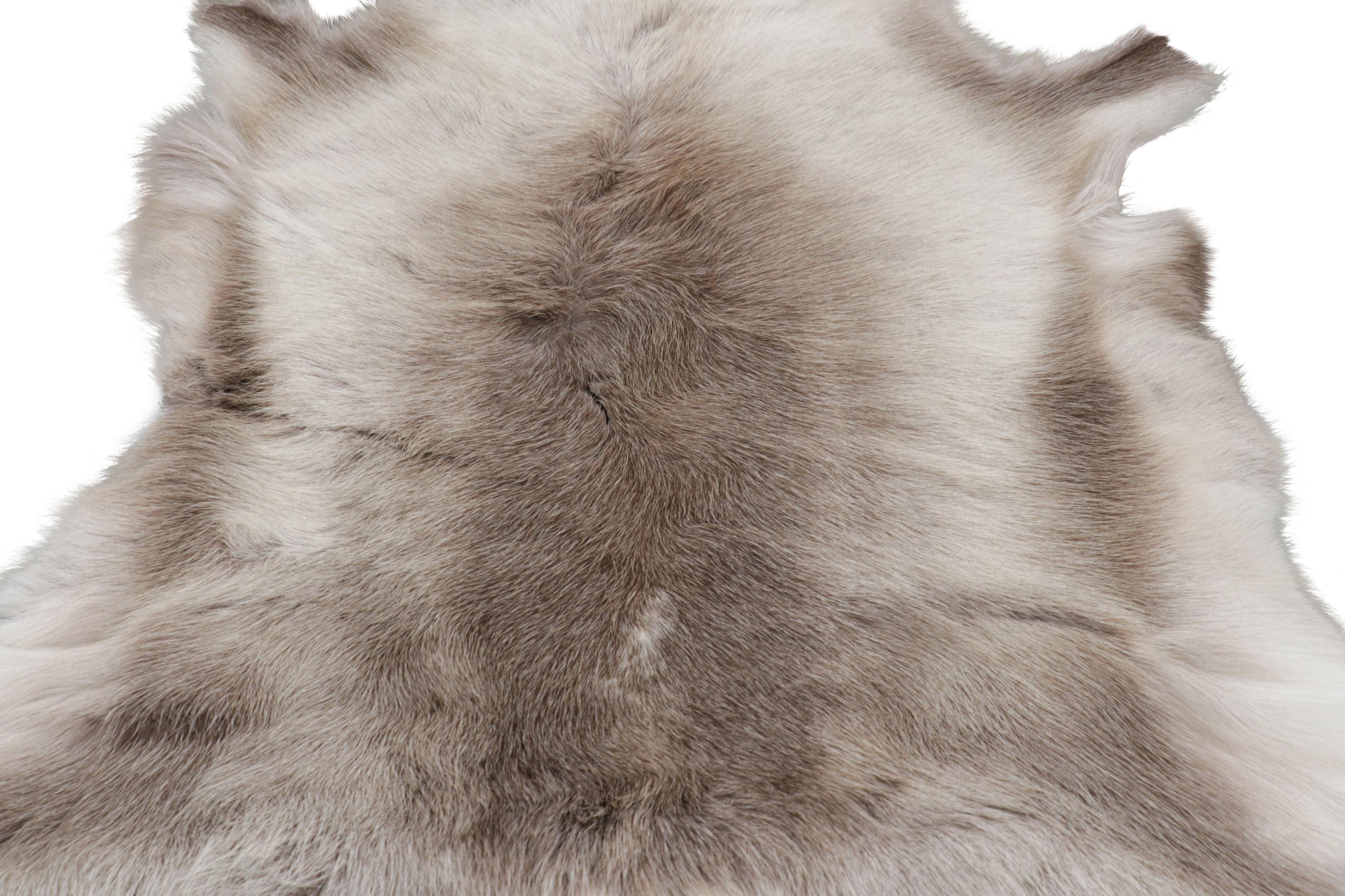 This handmade 3x4 contemporary reindeer pelt rug originating in Norway represents an exciting new collection of rare pieces from Rug & Kilim—each a comfortable and stylish addition to a wide range of spaces for their unique shape inherent to the