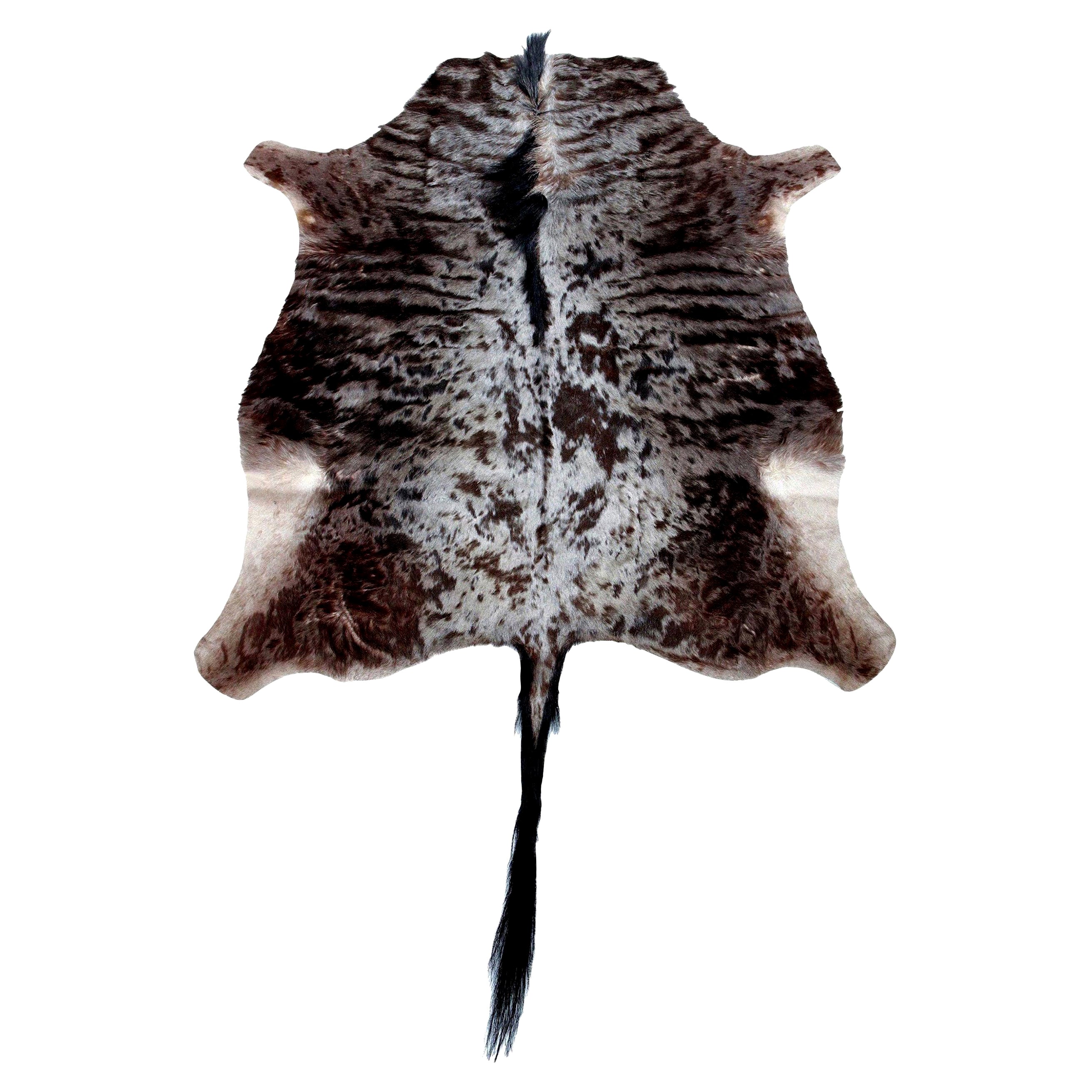 Rug, Wildebeest Hide, Chocolate Brown, South Africa, In Stock, New Hide Rug