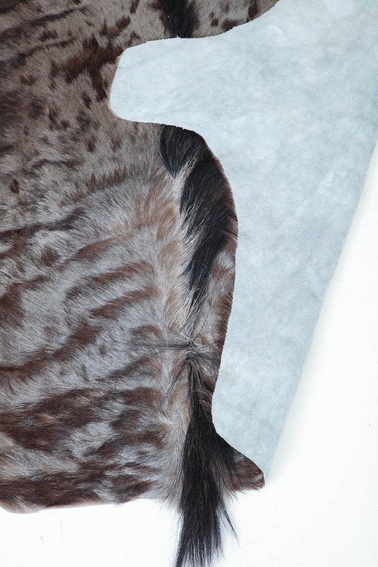 Rug, Wildebeest Hide For Sale at 1stdibs