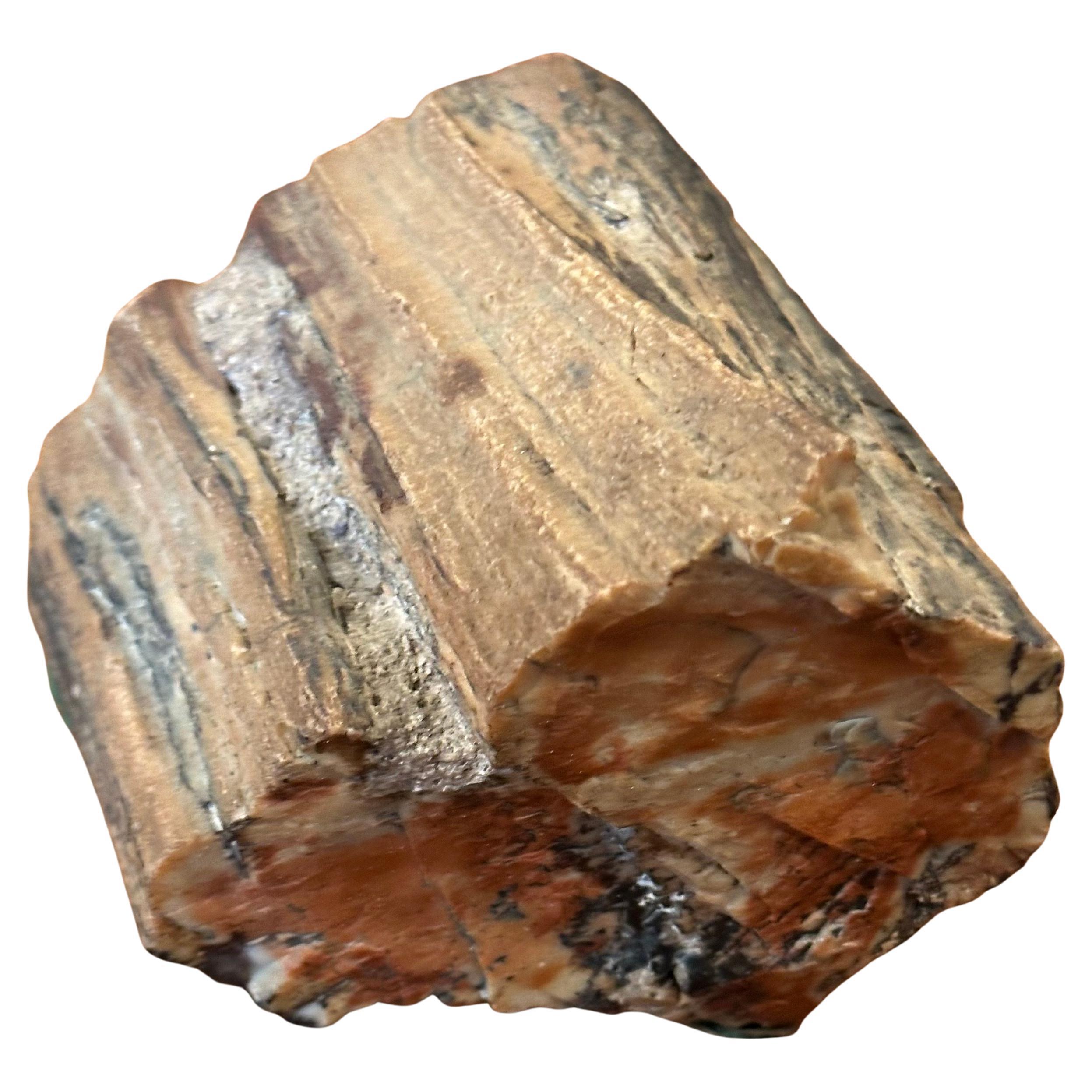 Un bel peso per carta in legno pietrificato d'epoca, circa vecchio! Il pezzo è in ottime condizioni con meravigliosi colori marrone e marrone e misura 4,75