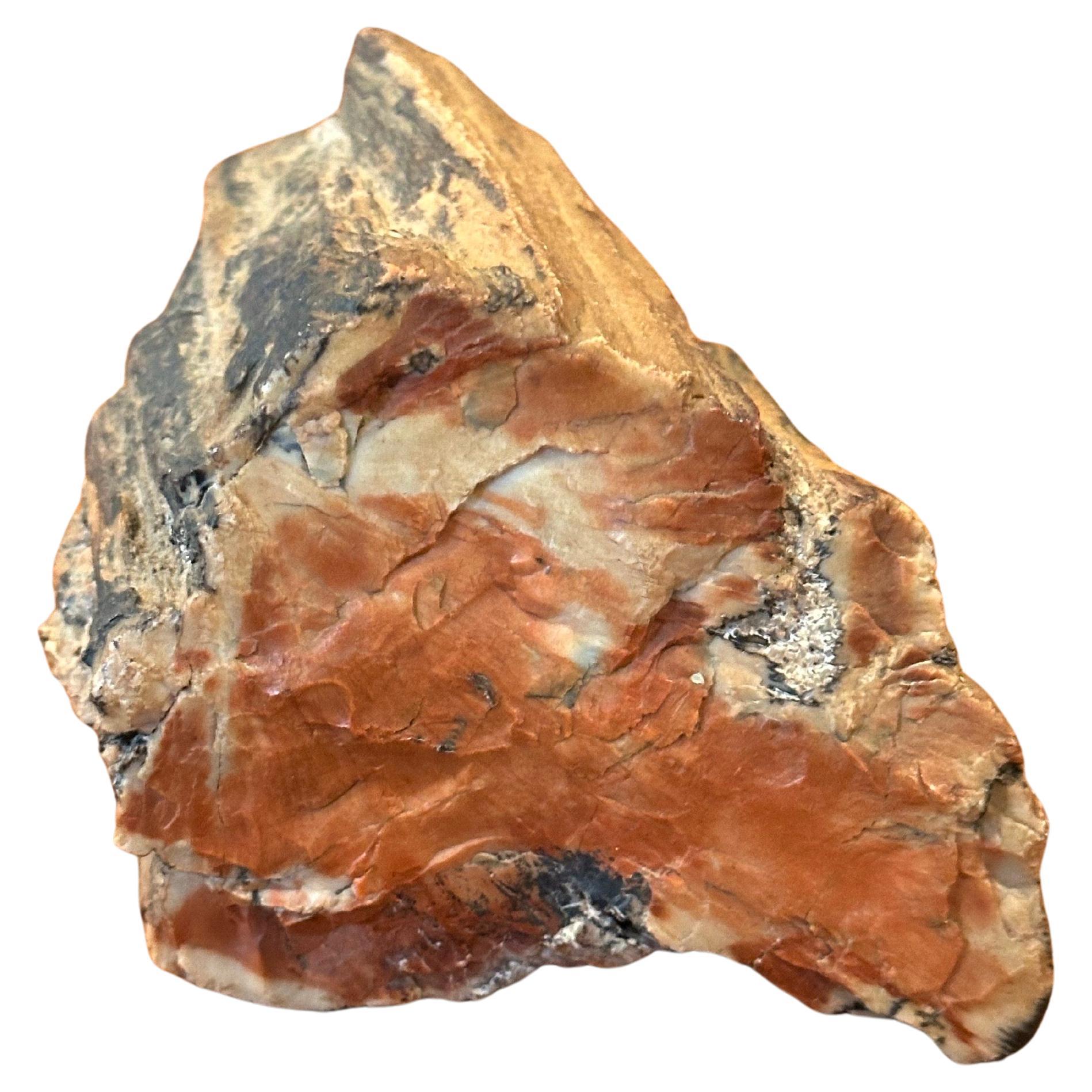 Mid-Century moderno Robusto fermacarte in legno pietrificato in vendita