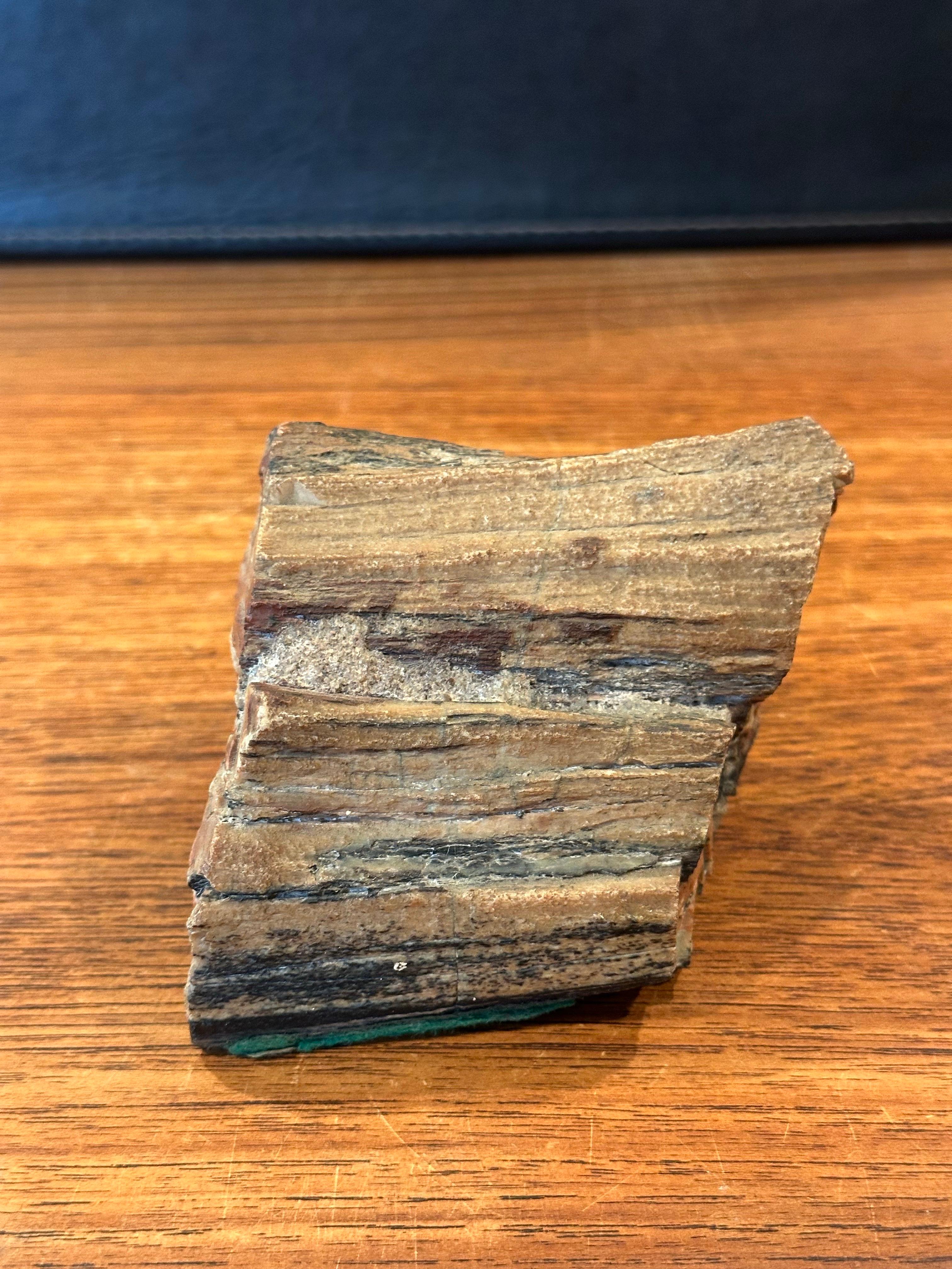 Robusto fermacarte in legno pietrificato In condizioni buone in vendita a San Diego, CA