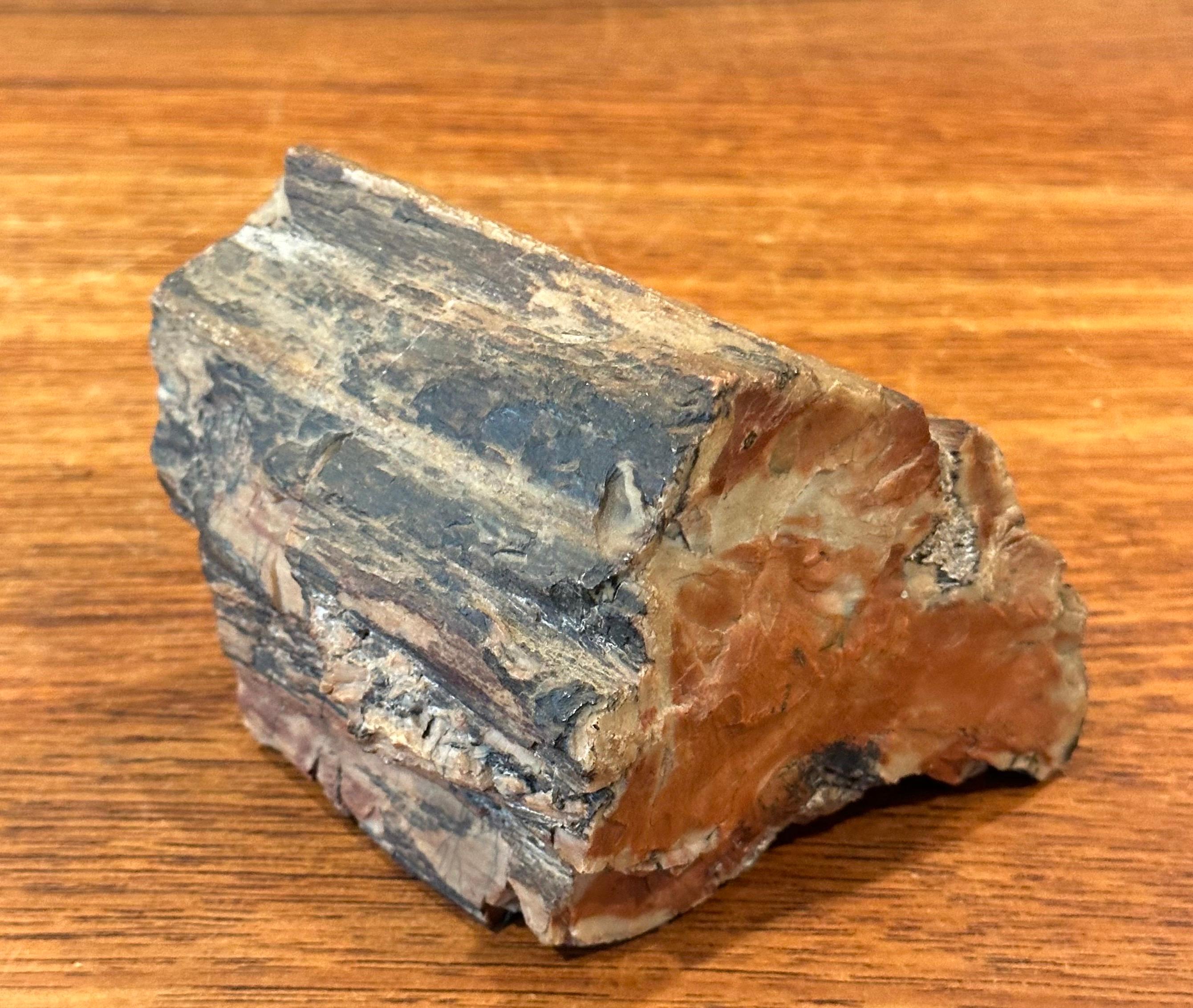 Fino al XVIII secolo Robusto fermacarte in legno pietrificato in vendita