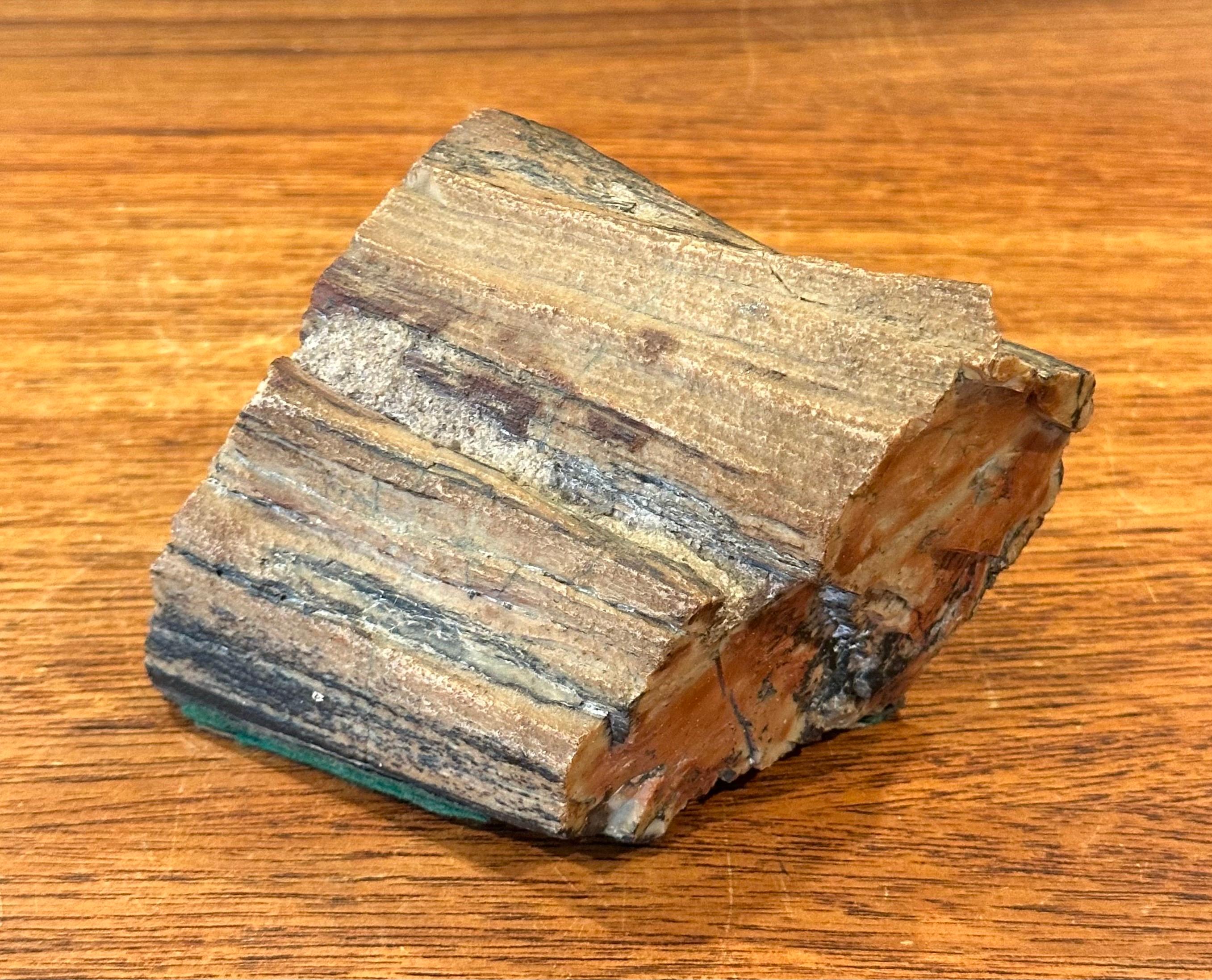 Legno pietrificato Robusto fermacarte in legno pietrificato in vendita