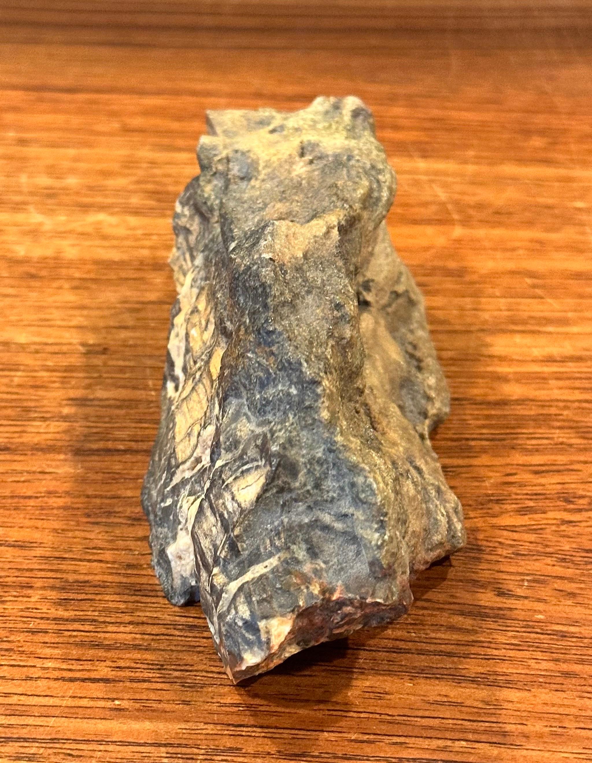 Escultura Rugosa de Madera Petrificada en venta 3
