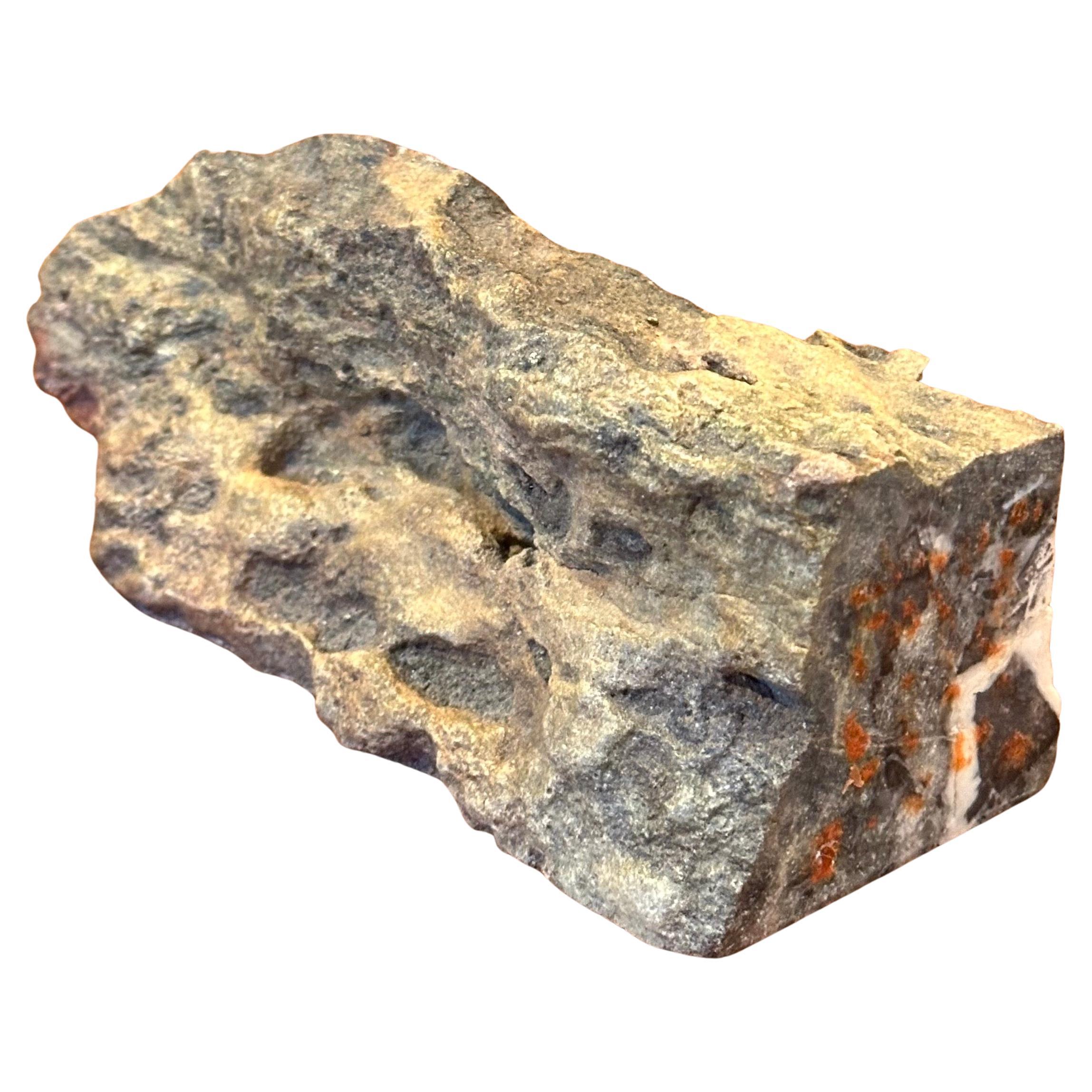 Una pieza realmente bonita de madera petrificada rugosa, de alrededor de la prehistoria.  Tonos tostados, marrones y cremas brillantes con dibujos formados naturalmente por la fosilización a lo largo de millones de años.  Los bordes exteriores