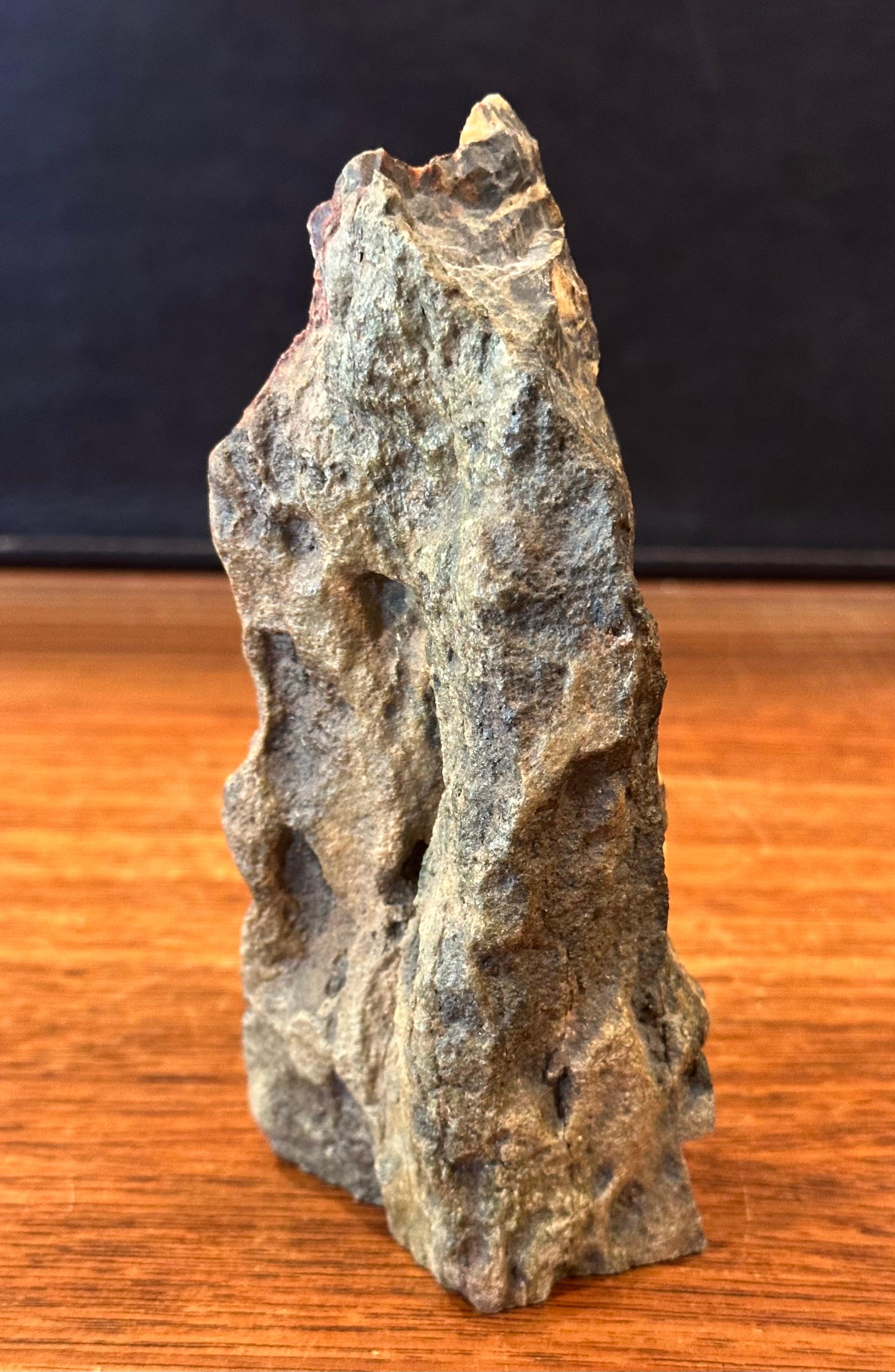 Escultura Rugosa de Madera Petrificada Madera petrificada en venta