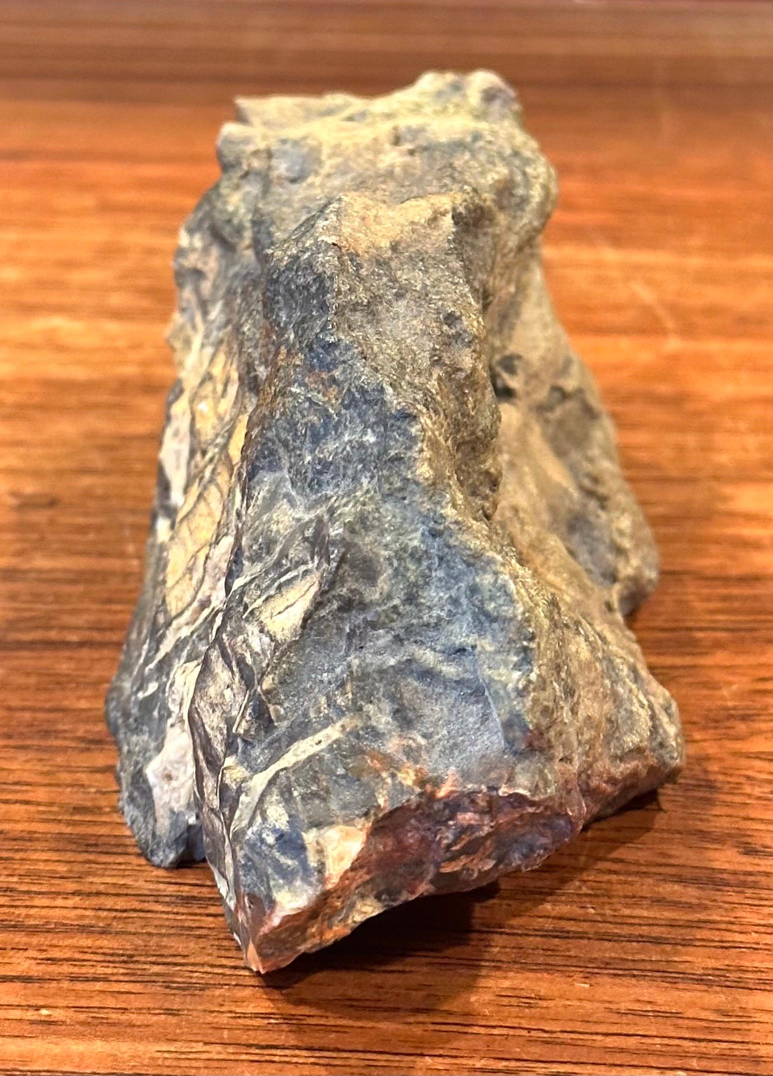Escultura Rugosa de Madera Petrificada en venta 1