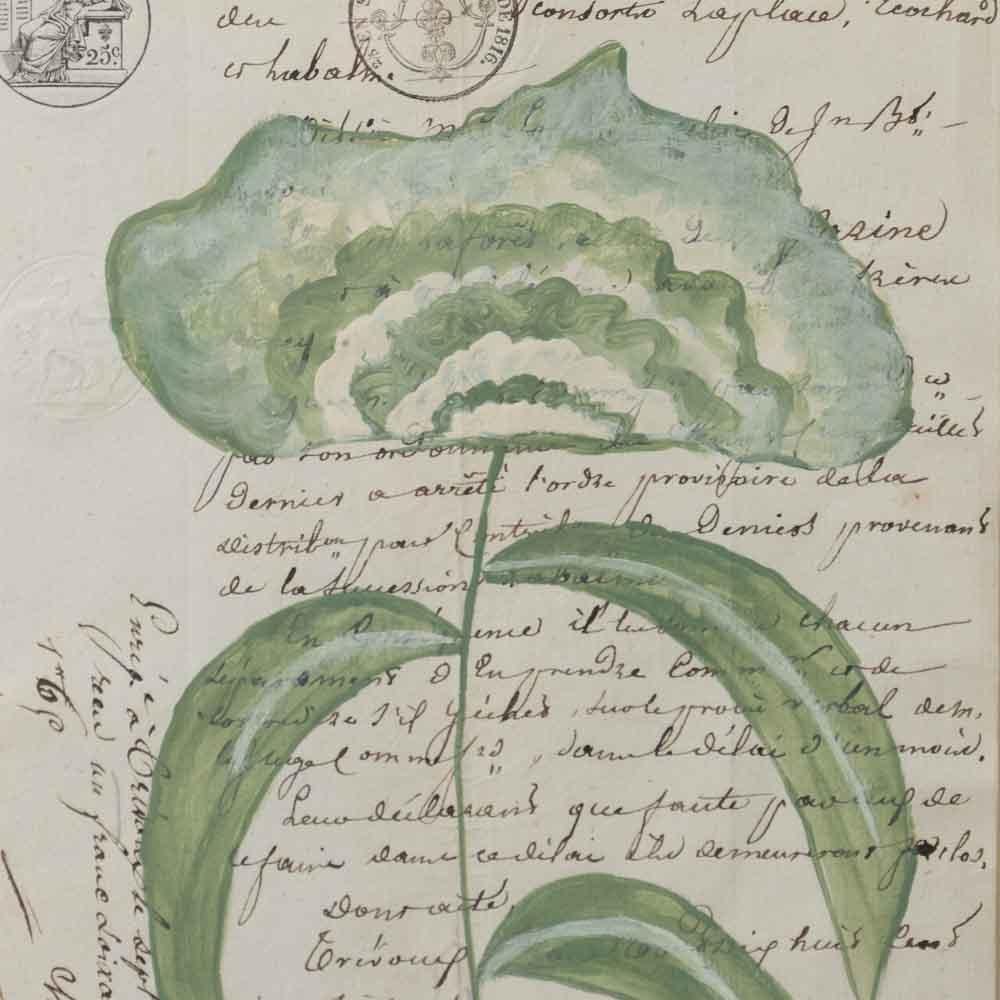 Rully von Afsoon Thayer im Angebot 1