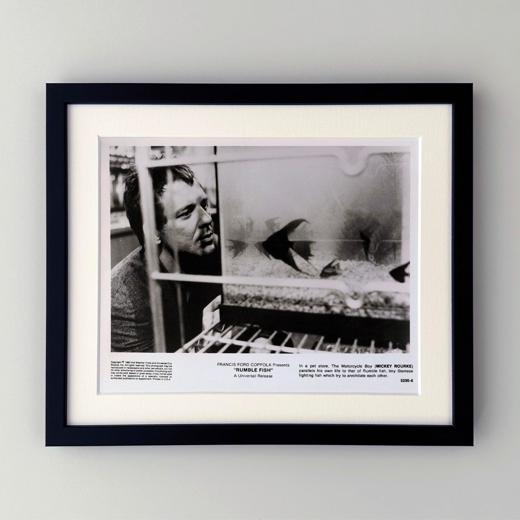 Fotogramma pubblicitario originale 8x10 pollici per Rumble Fish (1983) con Matt Dillon e Mickey Rourke e diretto da Francis Ford Coppola.

Le foto pubblicitarie (film/produzione) sono state create per aiutare gli studios a promuovere i loro nuovi
