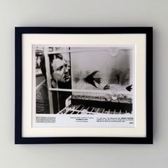 Rumble Fish 1983 Publicity Film Movie Press Still Framed