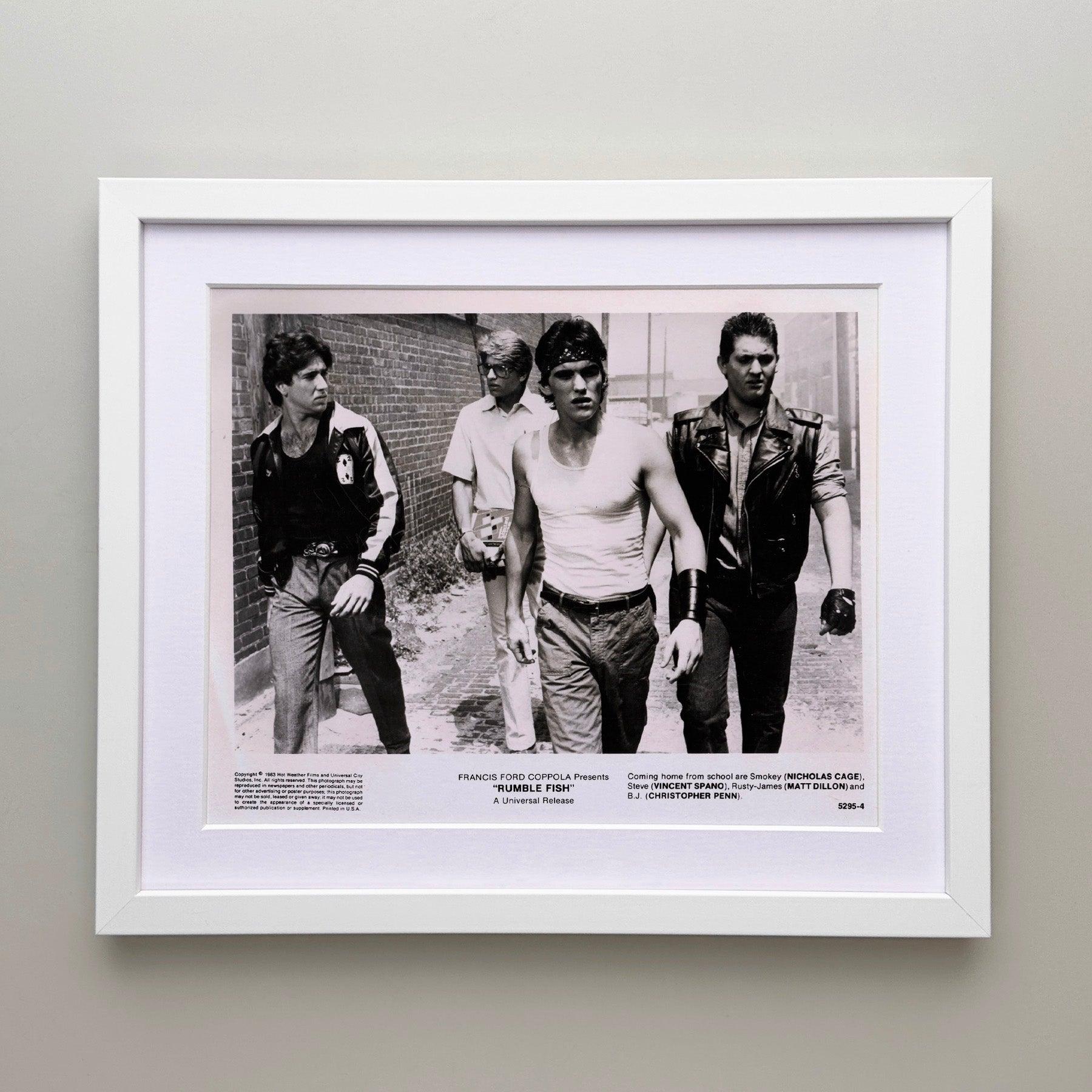 Rumble Fish 1983 Werbefilm Film Presse Standbild Gerahmt (amerikanisch) im Angebot