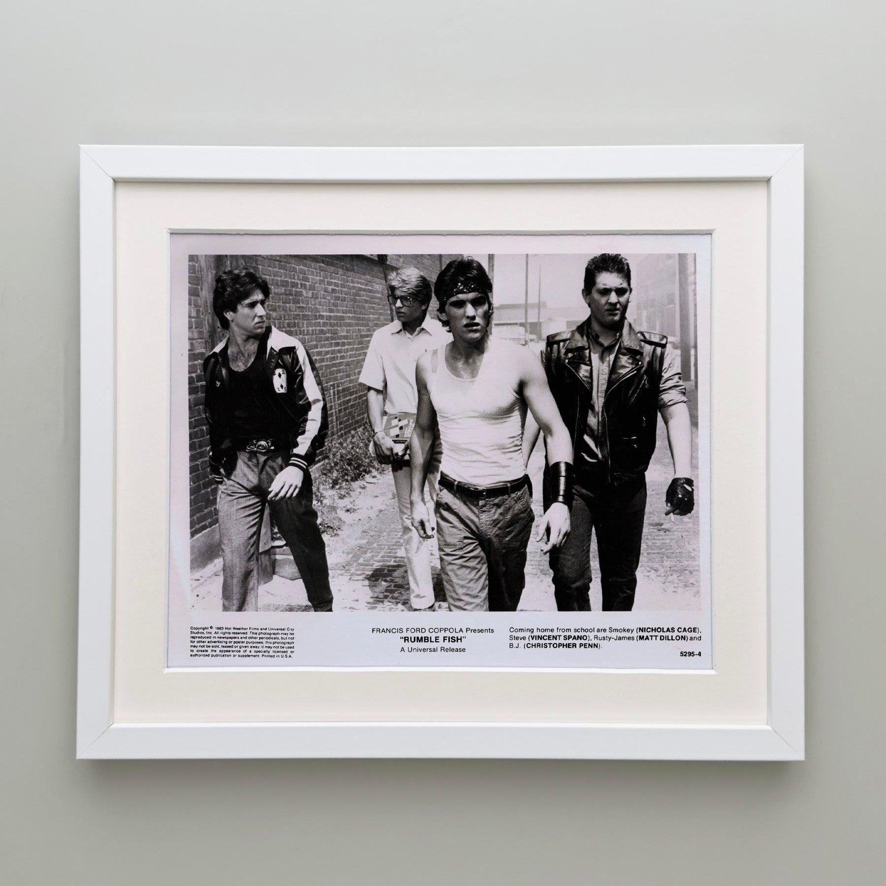 Rumble Fish 1983 Werbefilm Film Presse Standbild Gerahmt im Zustand „Hervorragend“ im Angebot in Bath, Somerset