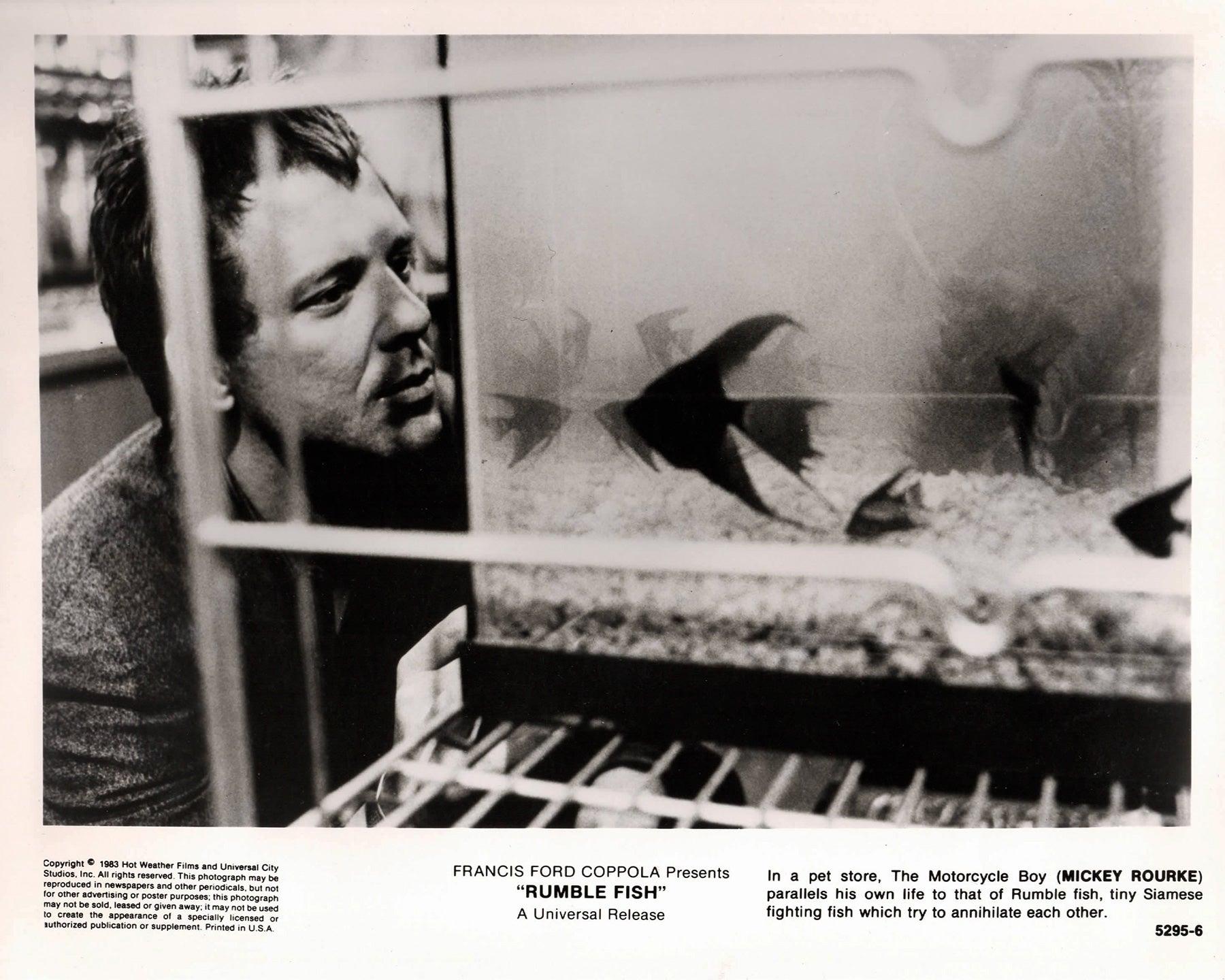 Carta Rumble Fish 1983 Pubblicità Film Film Stampa Ancora incorniciato in vendita