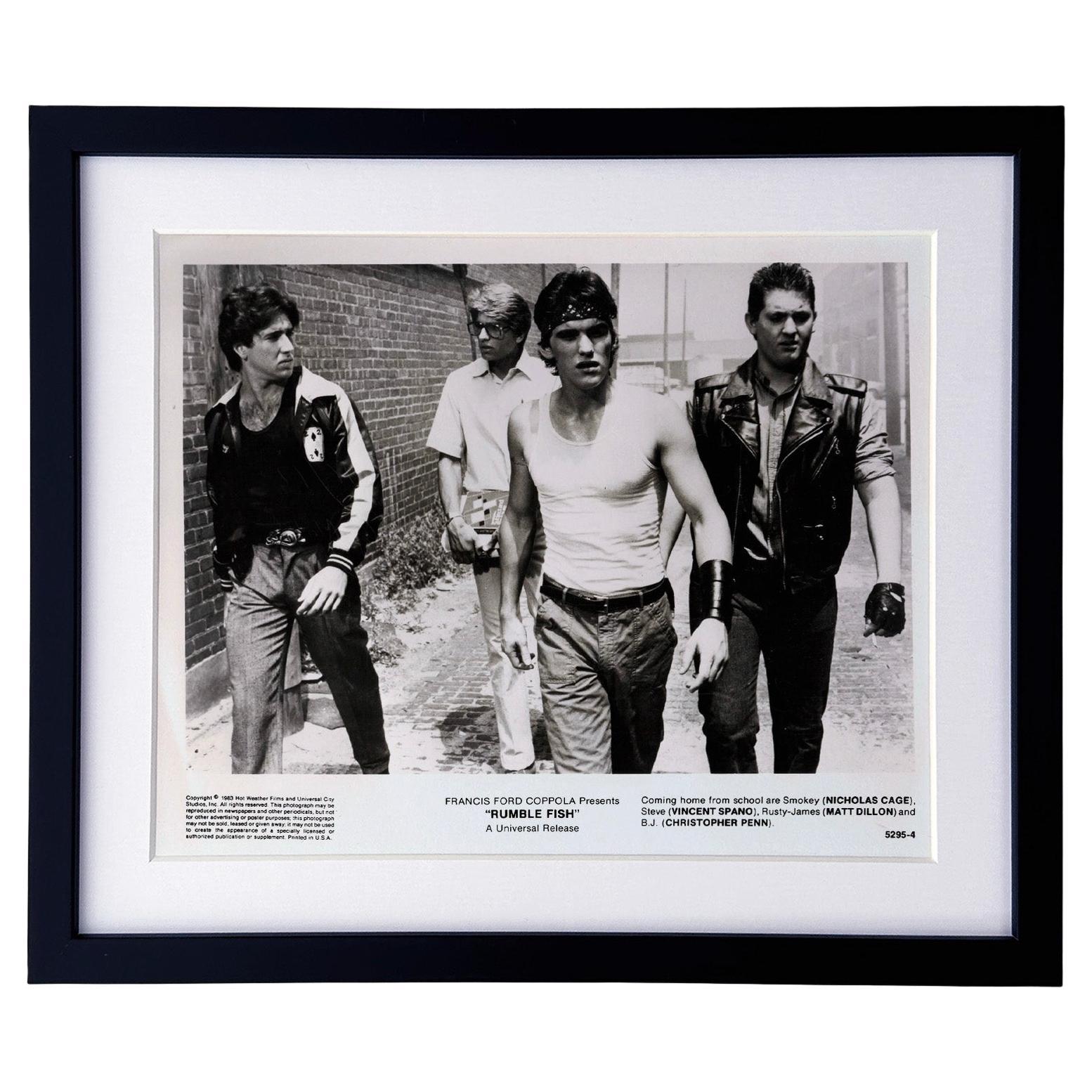 Rumble Fish 1983 Werbefilm Film Presse Standbild Gerahmt