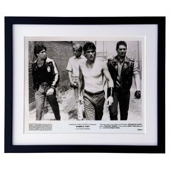 Rumble Fish 1983 Werbefilm Film Presse Standbild Gerahmt