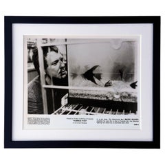 Rumble Fish 1983 Werbefilm Film Presse Standbild Gerahmt