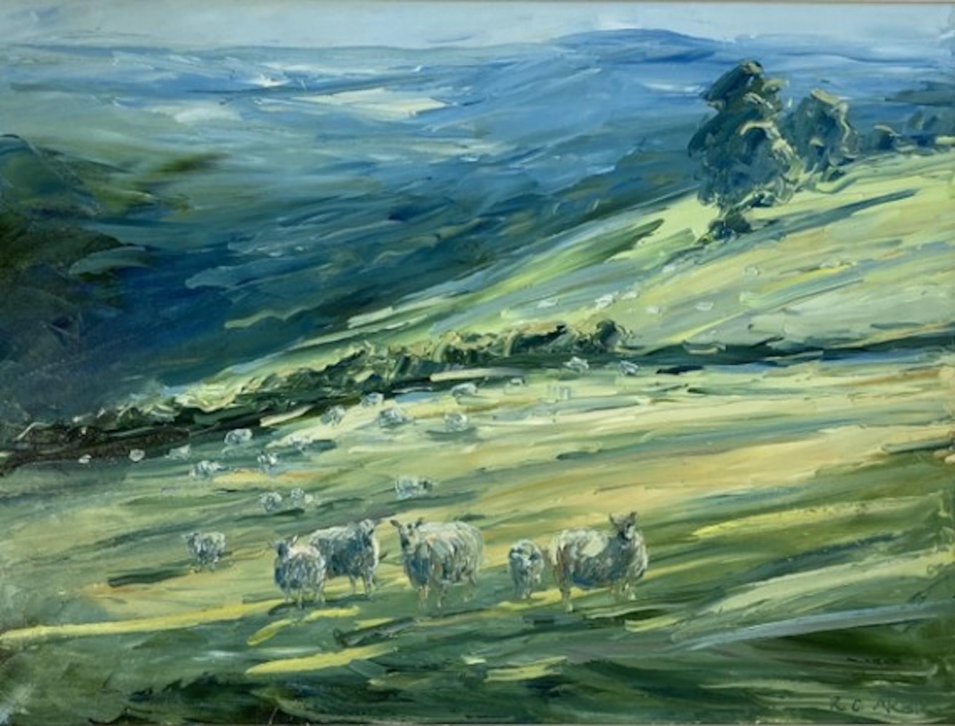 Rupert Aker, Sheep, Miserden, Cotswolds Landscape Art, Impressionist Painting