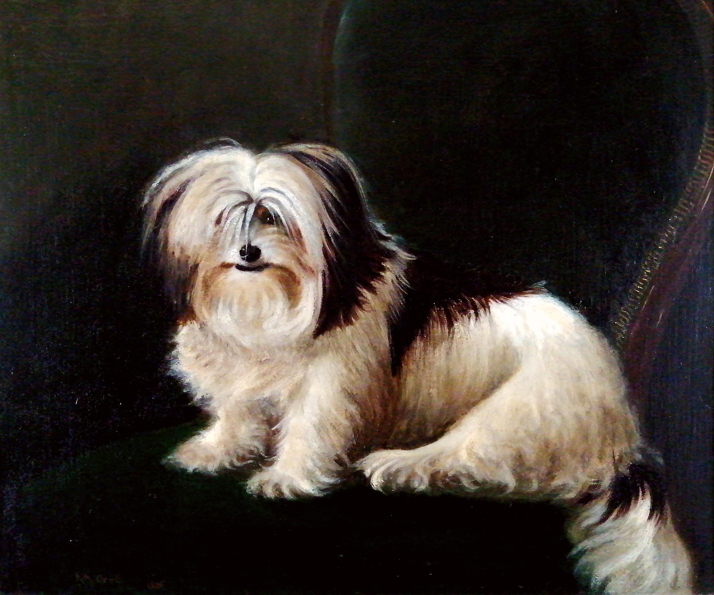 Terrier en una silla - Pintura antigua inglesa al óleo sobre lienzo del siglo XIX sobre un perro - Painting de Rupert Arthur Dent