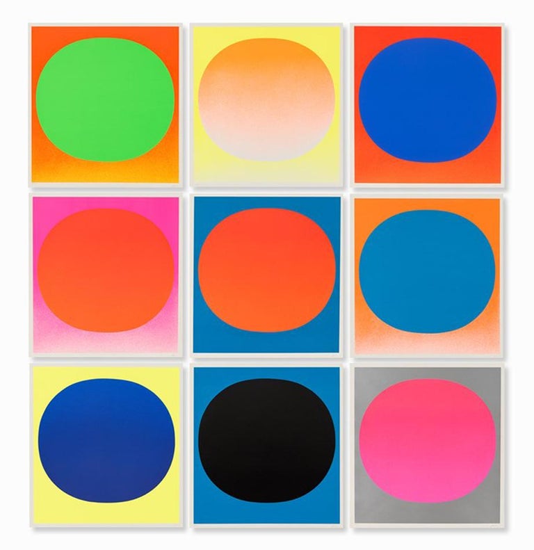 Colour In The Round Suite Of 9 Silkscreens Abstract Art Minimalism