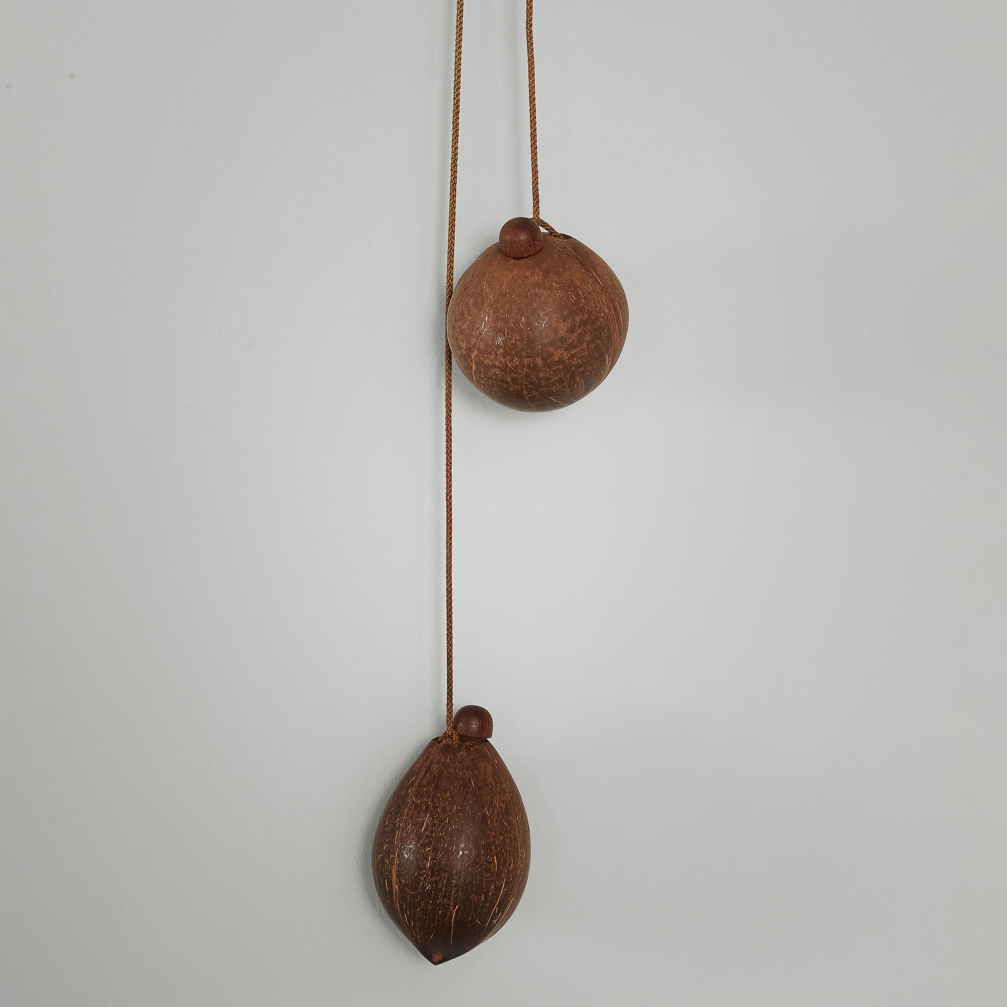 Mid-20th Century Rupprecht Skrip Wall Lamp with Adjustable Swivel Arms in Teak