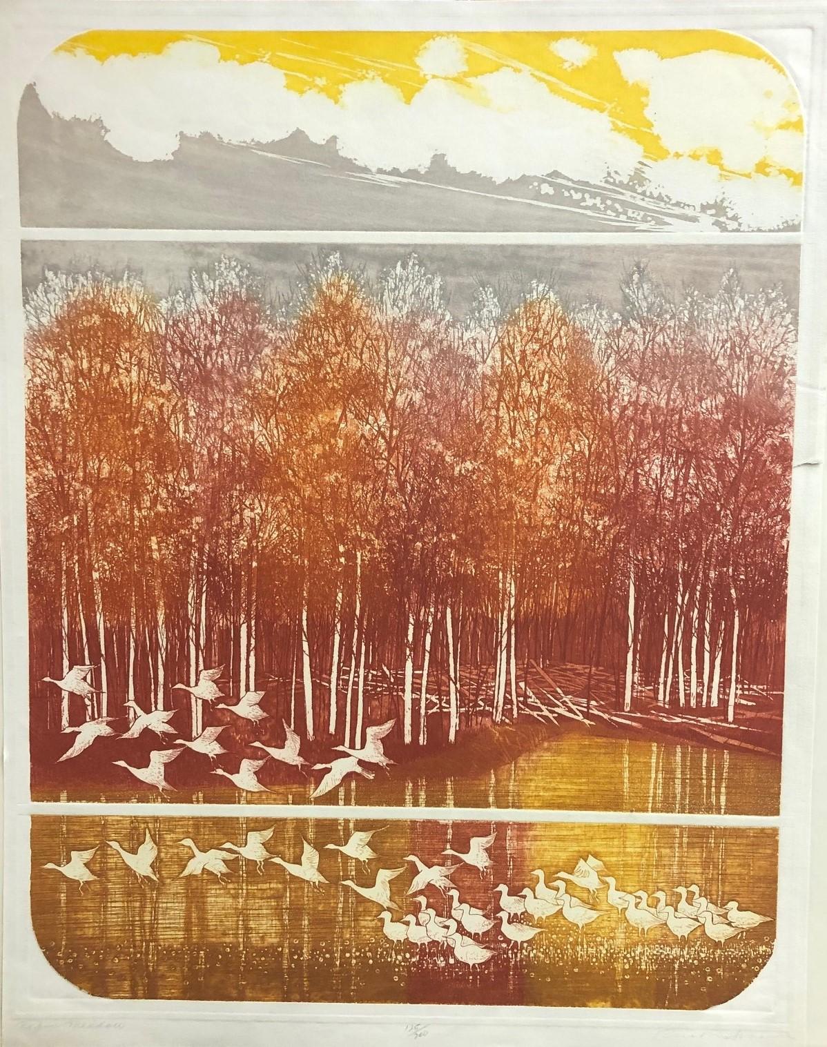 Meadow-Limited Edition Etching, Signed by Artist - Print by Russa Graeme