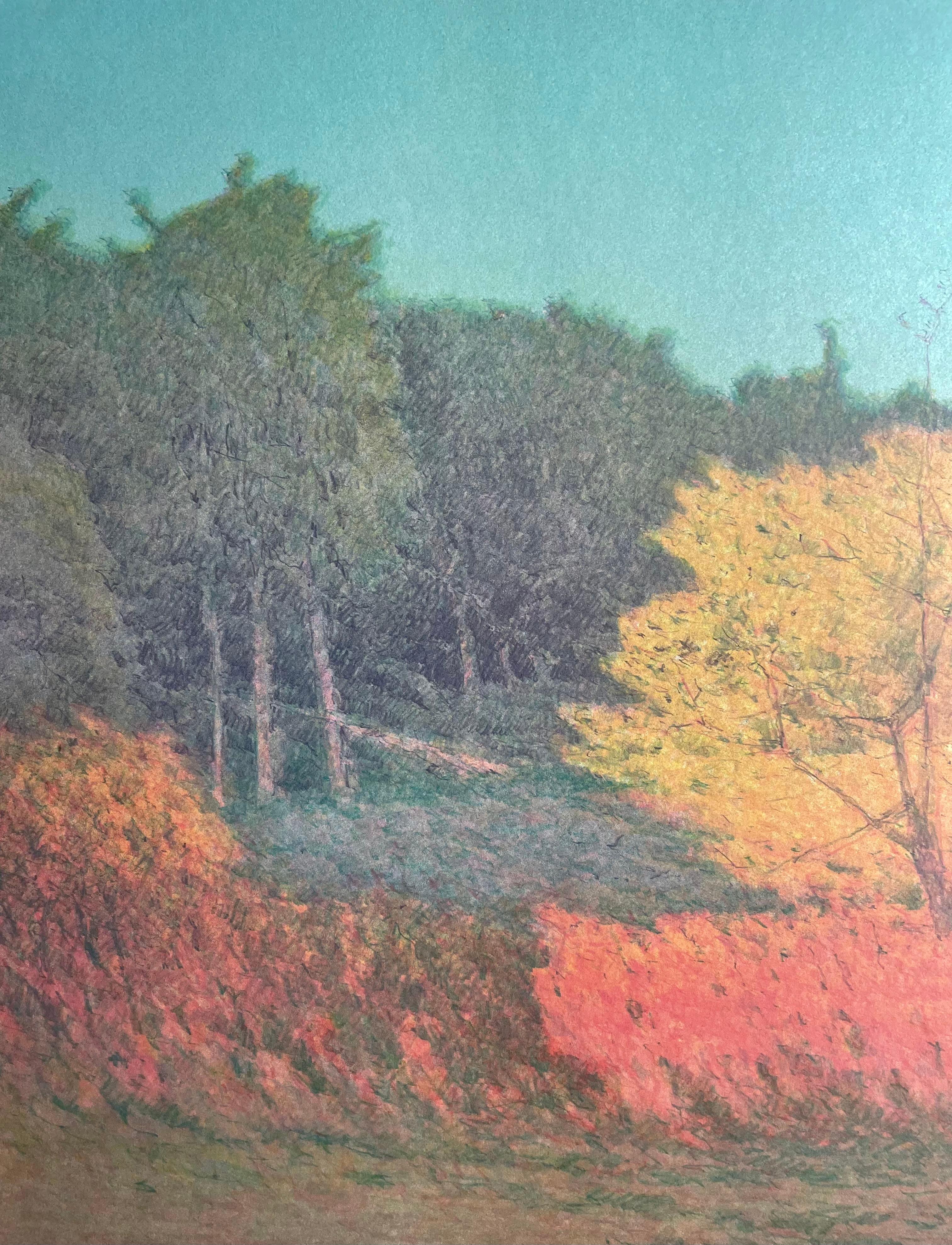 This is an Russell Chatham”Morning At Deep Creek 1989” signed and numbered lithograph. In good condition measures 26x22 . Unframed

