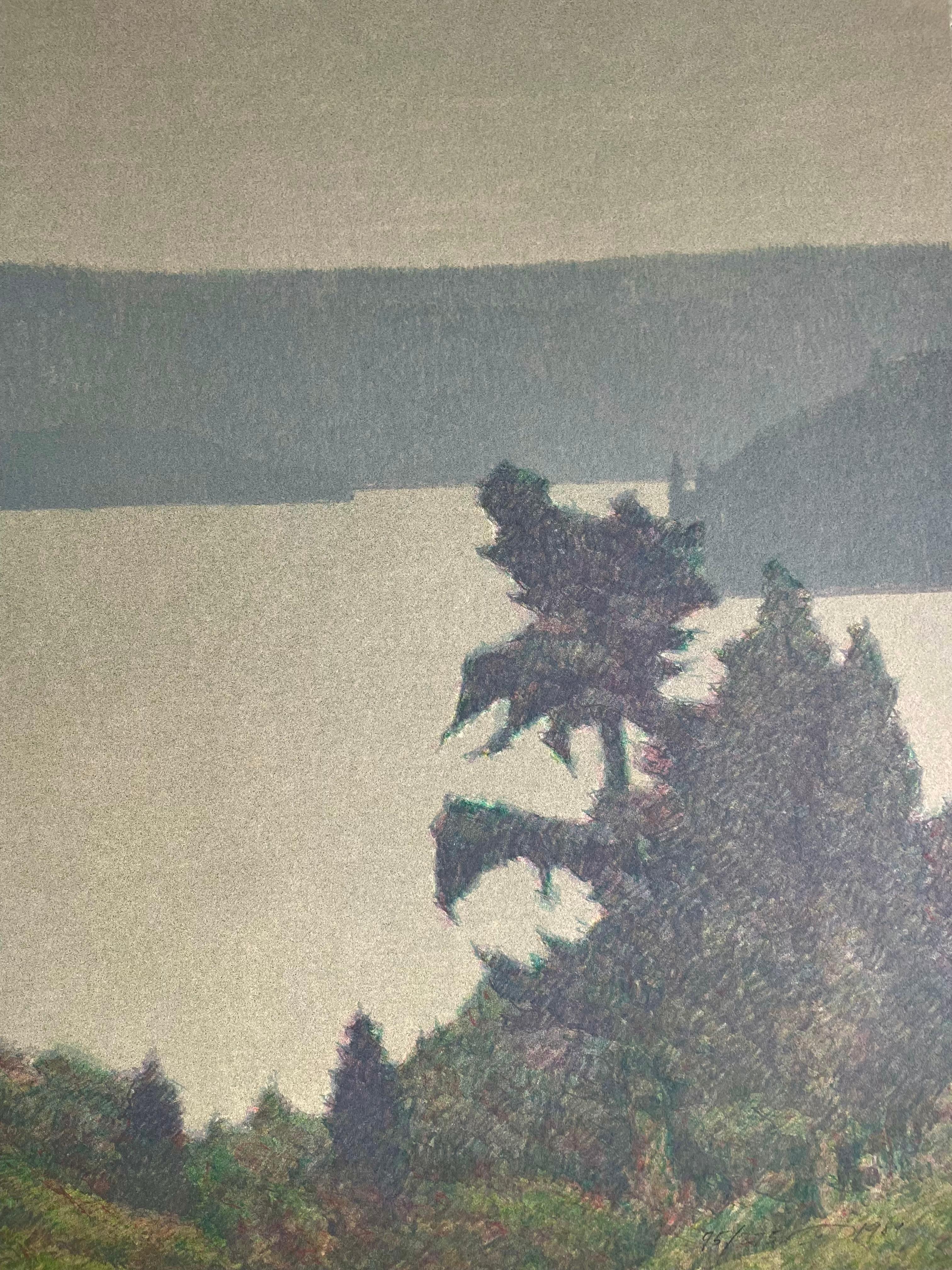 Questa è una stampa originale firmata di Russell Chatham, Puget Sound 1989. In buone condizioni. Non incorniciato
Misure 26x22