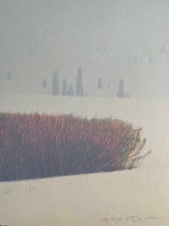 „Schneeflocken im Schloss“