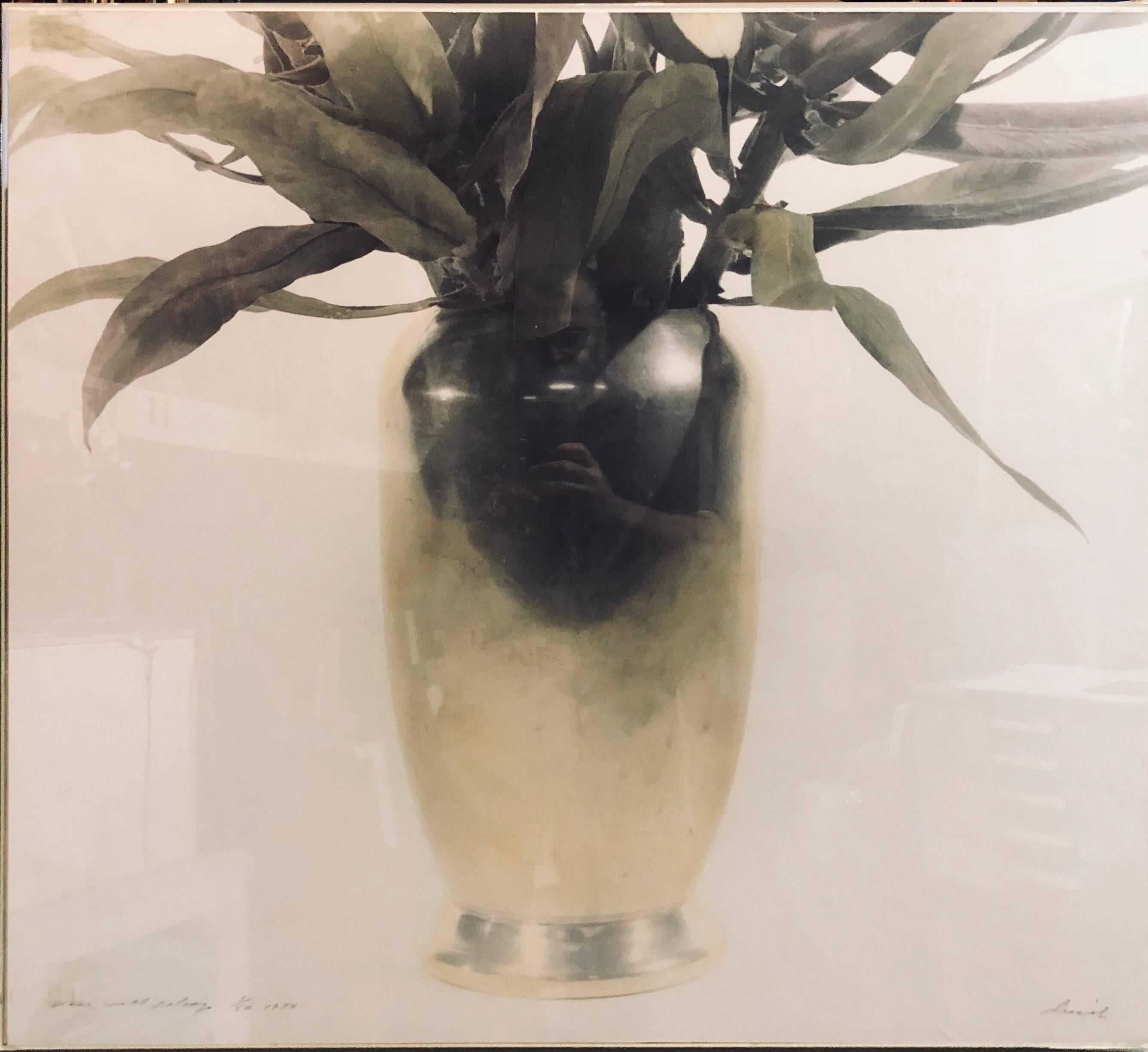 Vase mit Laub, hand getönte Fotografie. Vintage-Fotodruck