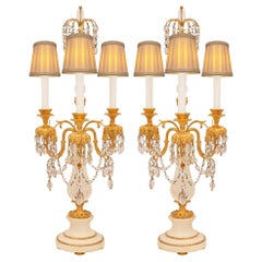 Russian 19th Century Neo-Classical St. Marble, Crystal, and Ormolu Lamps