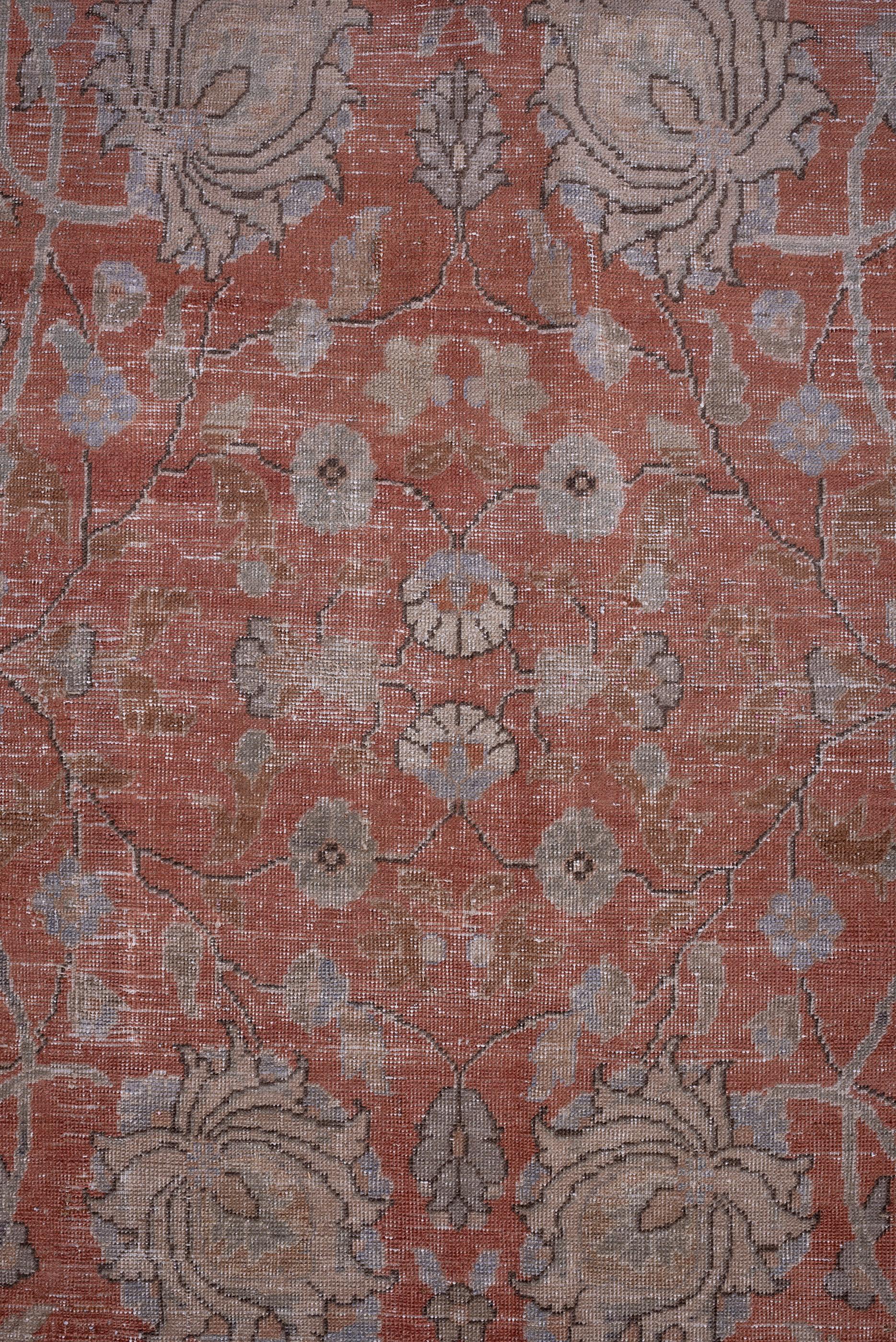 Hand-Knotted Rust Field Antique Sivas Rug  For Sale