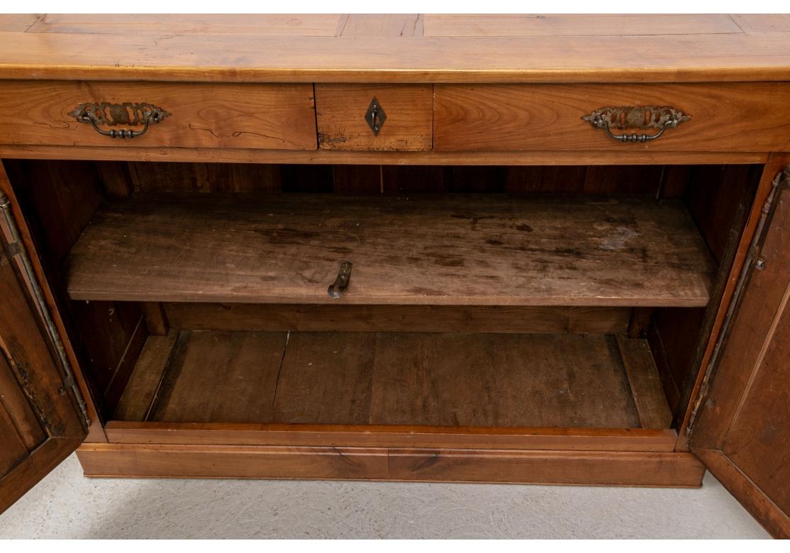 Rustic 19th Century Continental Server Cabinet For Sale 8