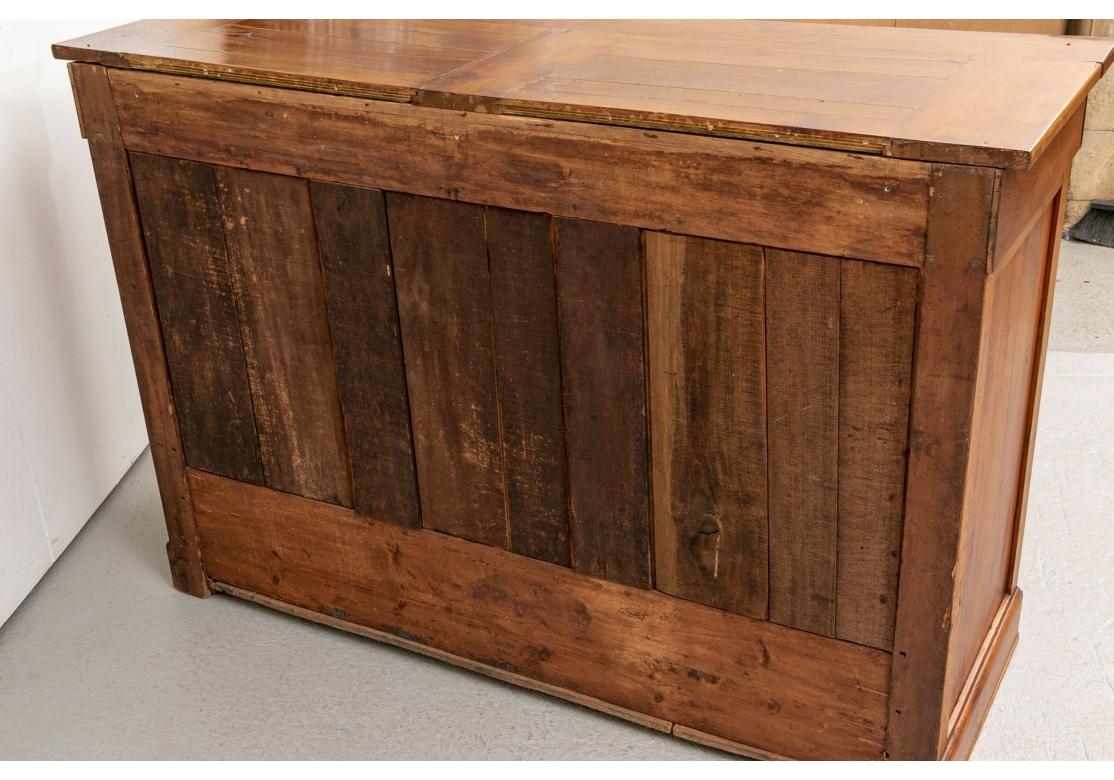 Rustic 19th Century Continental Server Cabinet For Sale 9